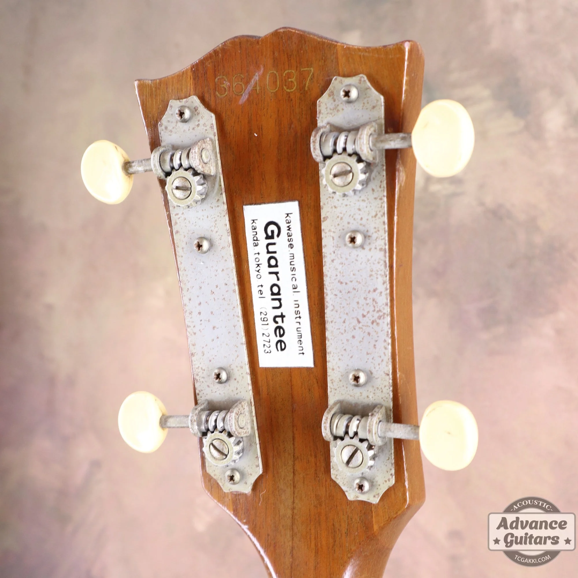 Gibson 1965年製 TG-0 - Image 30