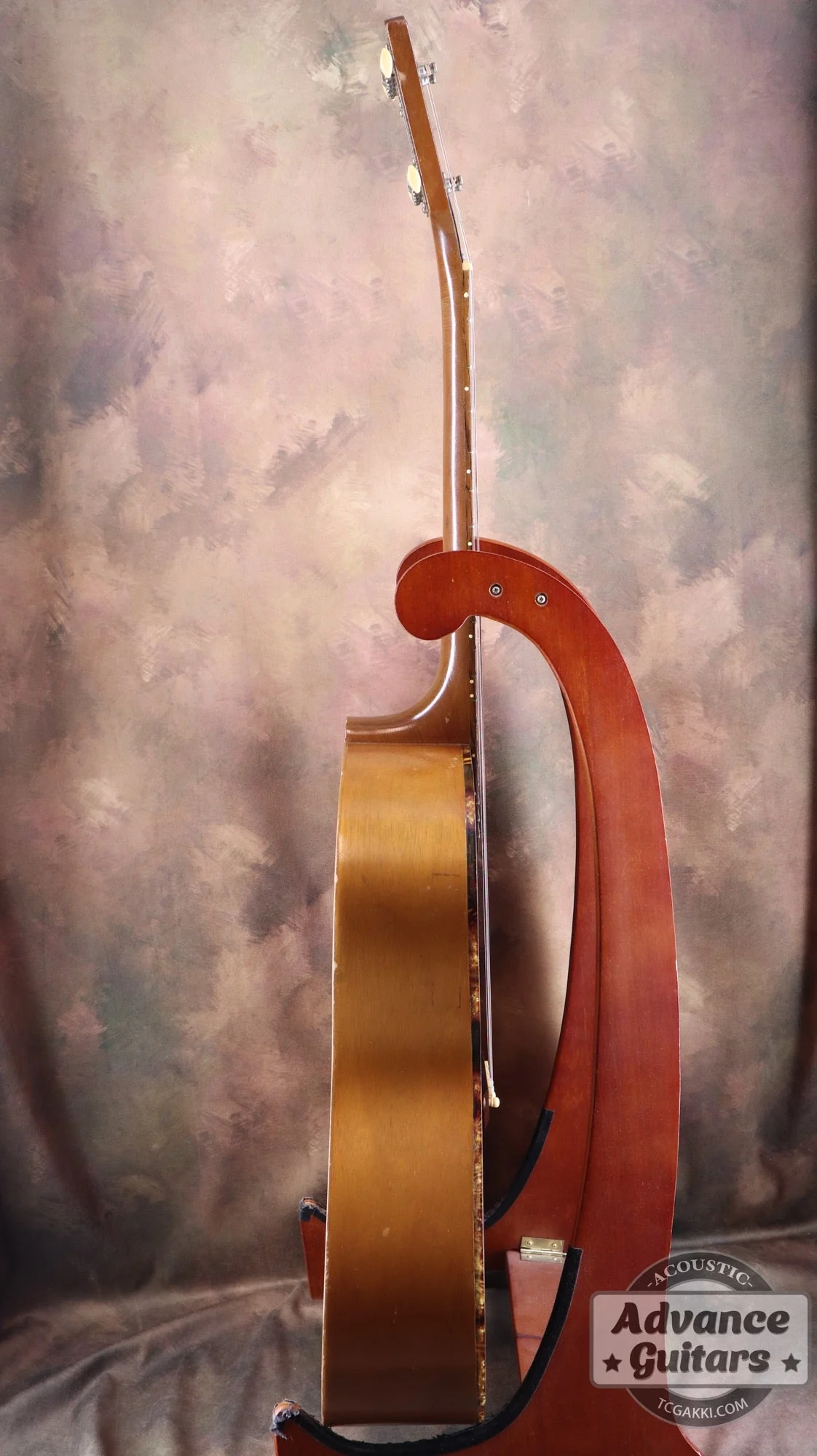 Gibson 1965年製 TG-0 - Image 33