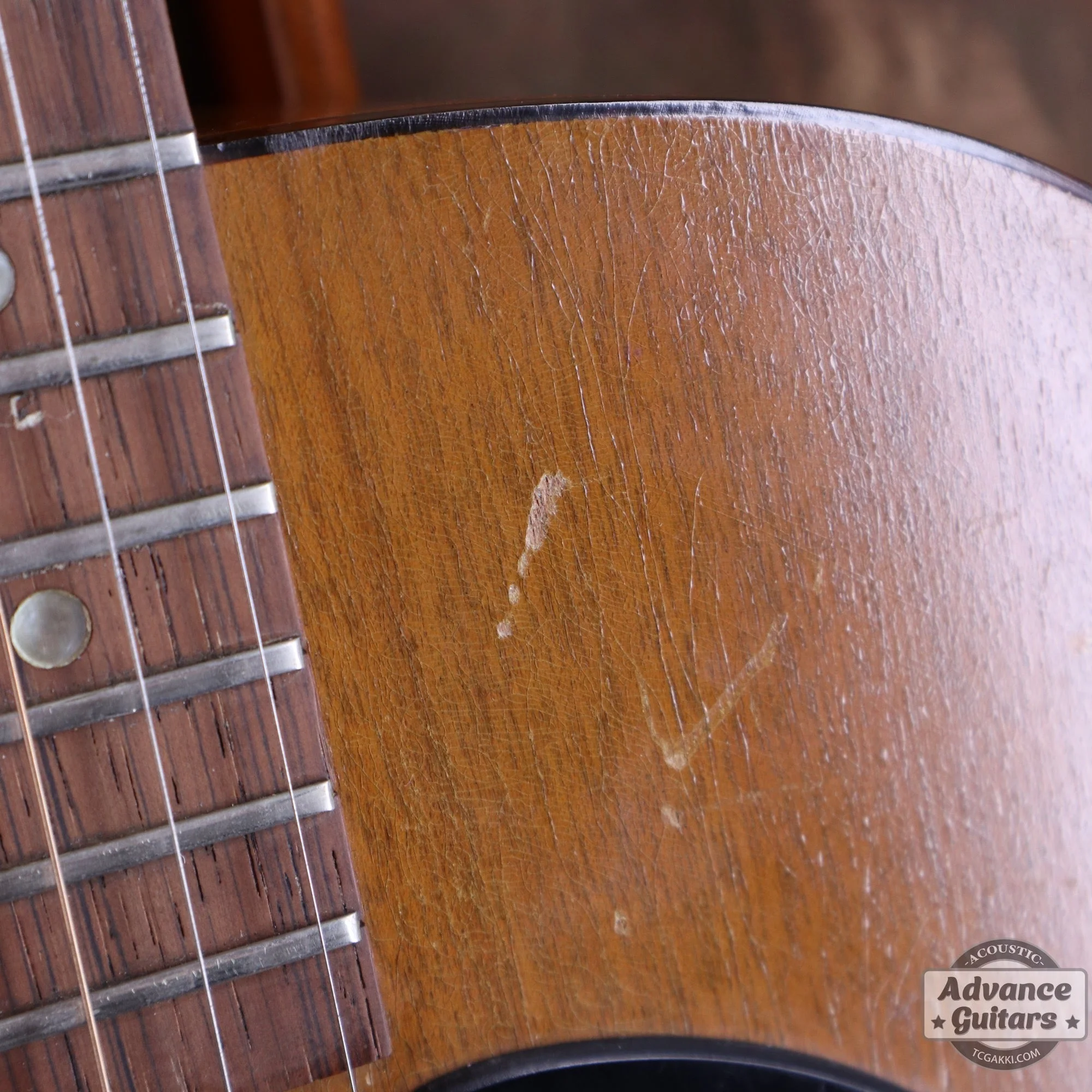Gibson 1965年製 TG-0 - Image 36