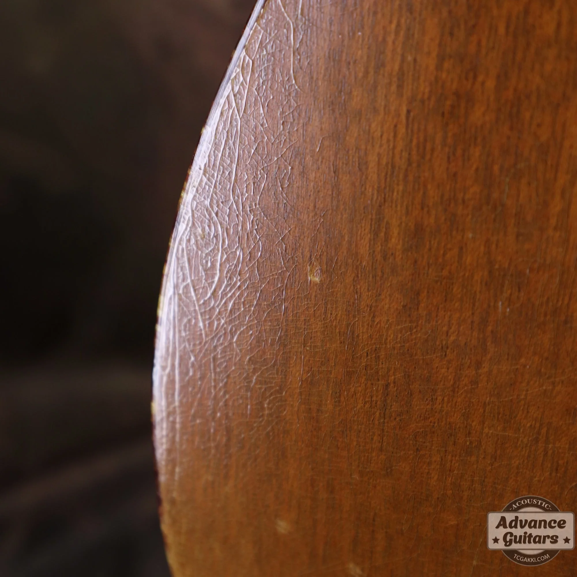 Gibson 1965年製 TG-0 - Image 39