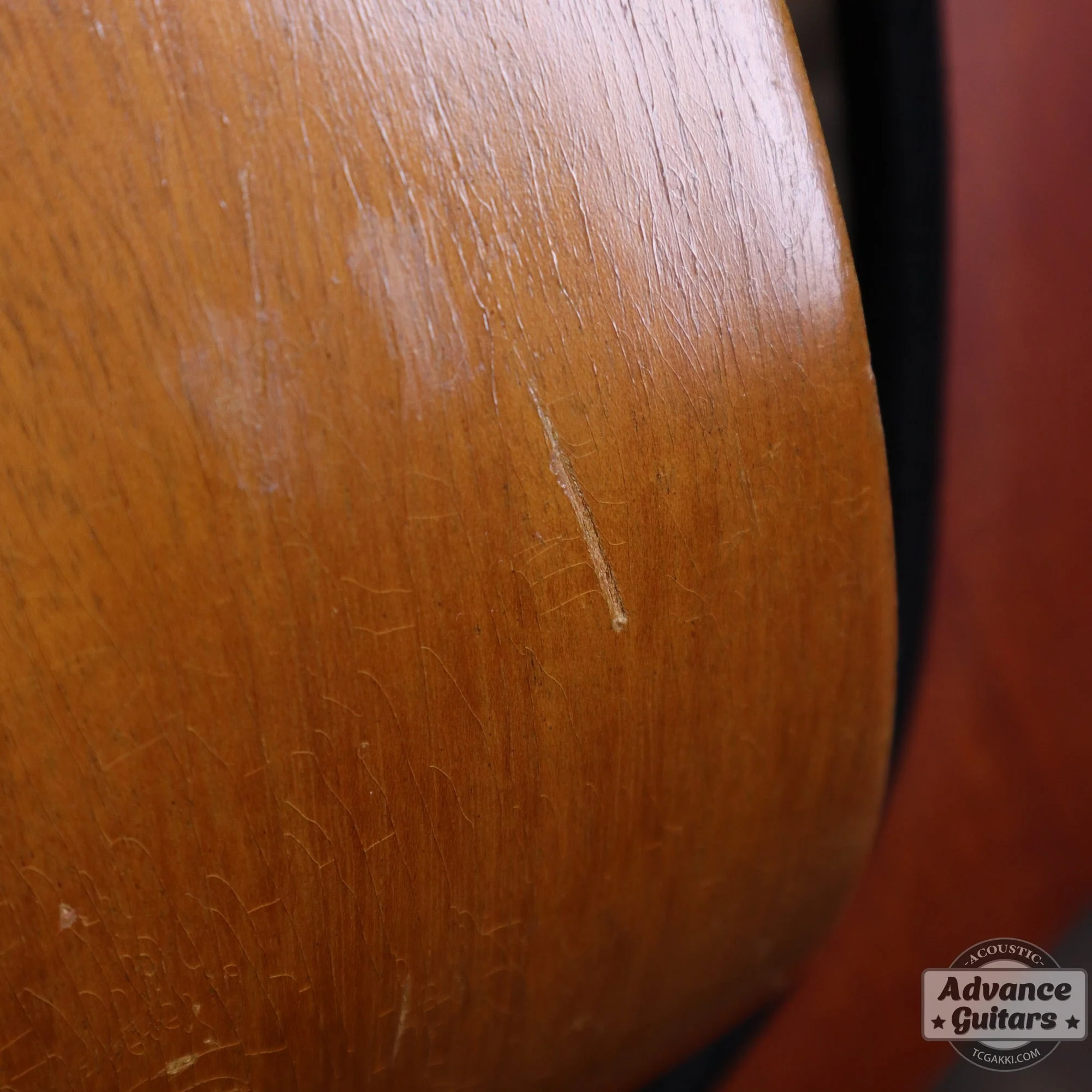 Gibson 1965年製 TG-0 - Image 41