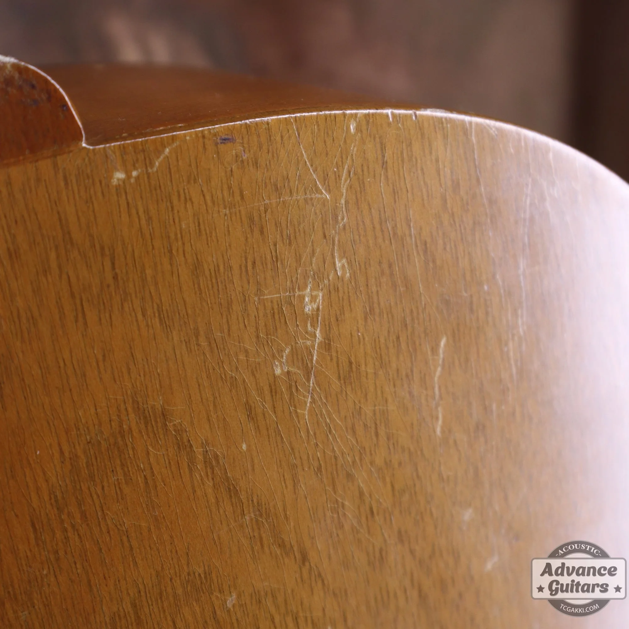 Gibson 1965年製 TG-0 - Image 46