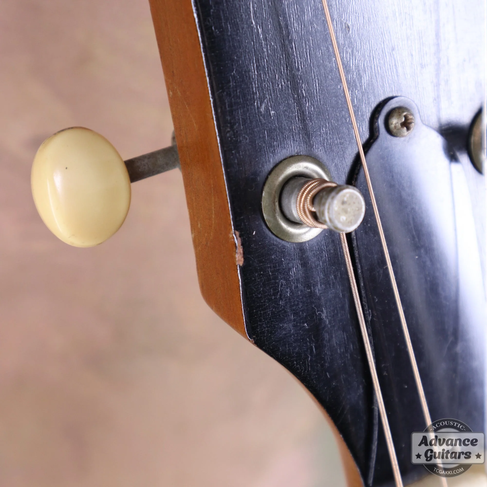 Gibson 1965年製 TG-0 - Image 51