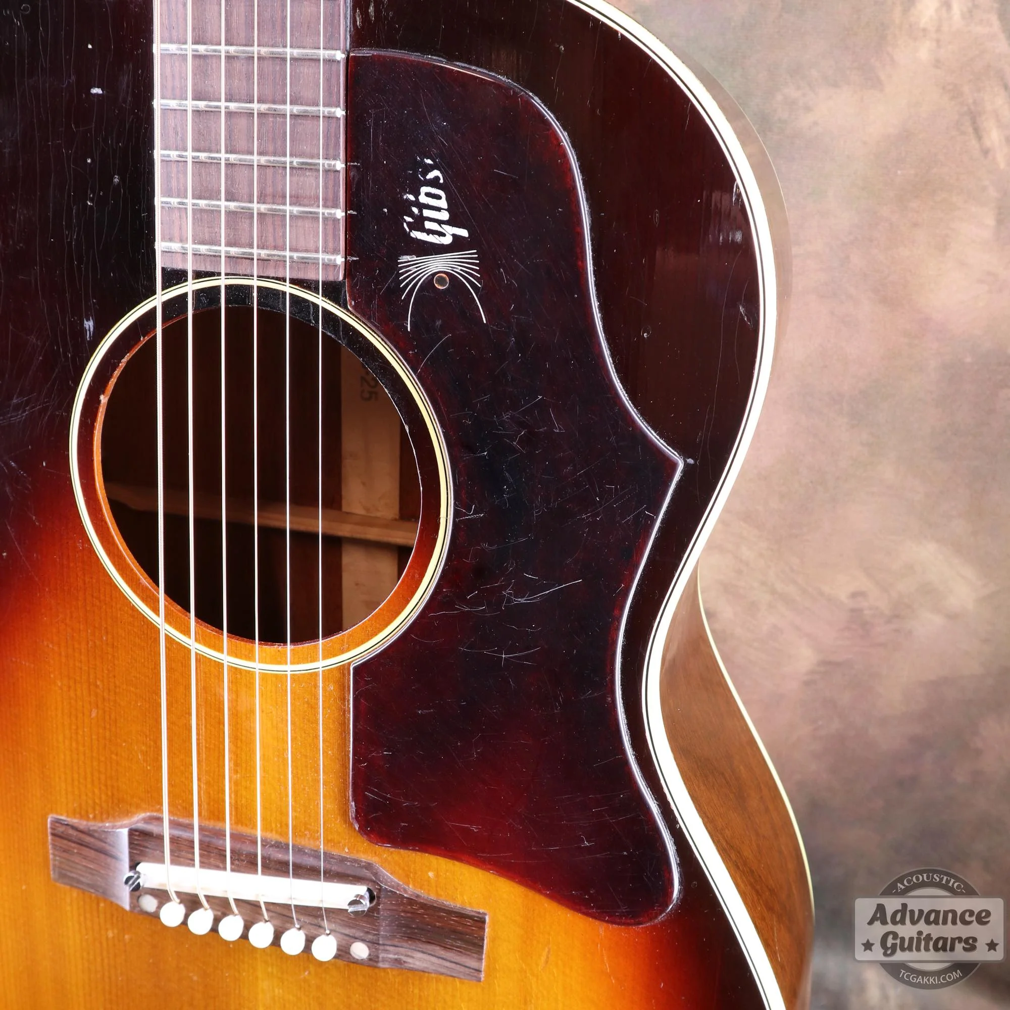 Gibson 1968年製 B-25 TSB - Image 14