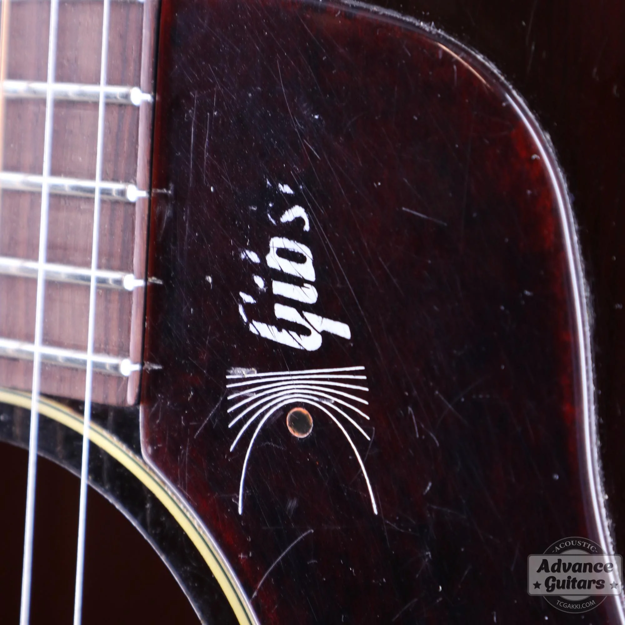 Gibson 1968年製 B-25 TSB - Image 38