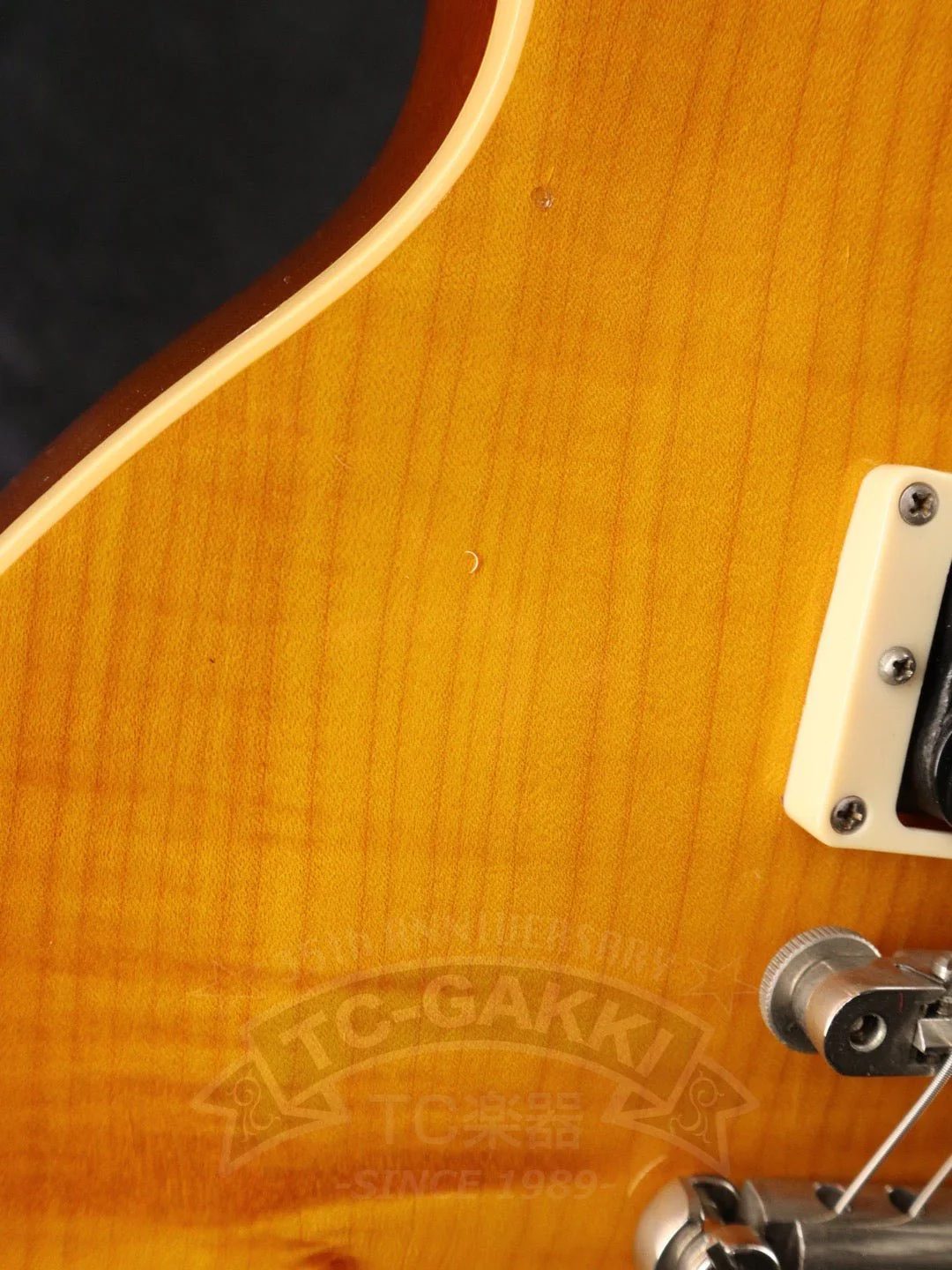 Gibson Les Paul Classic Plus - Image 6