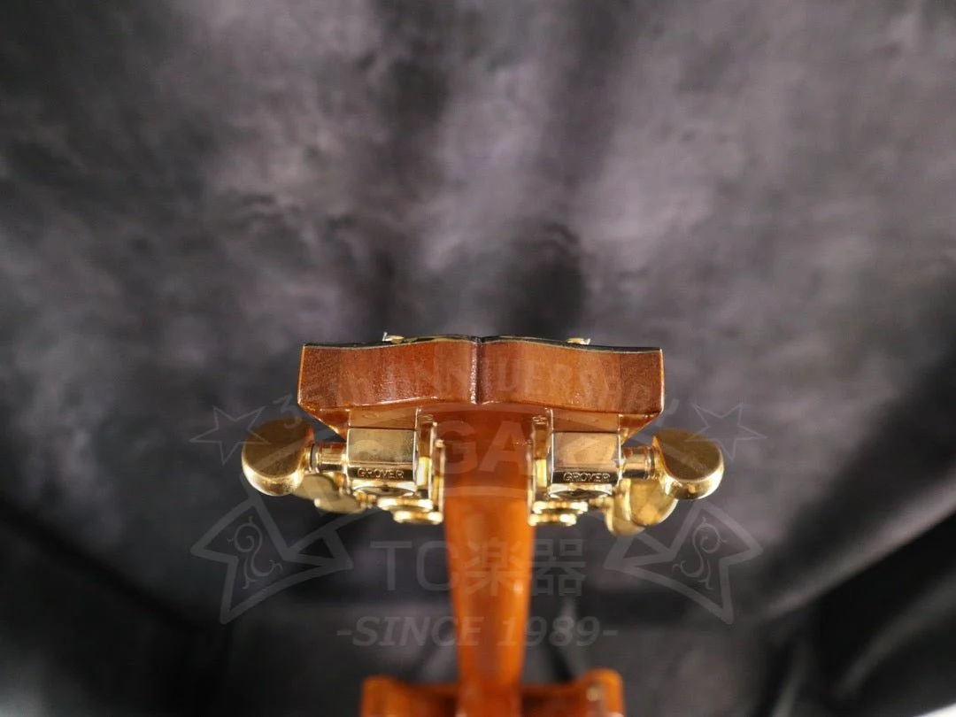 Gibson Les Paul Standard DC - Image 17