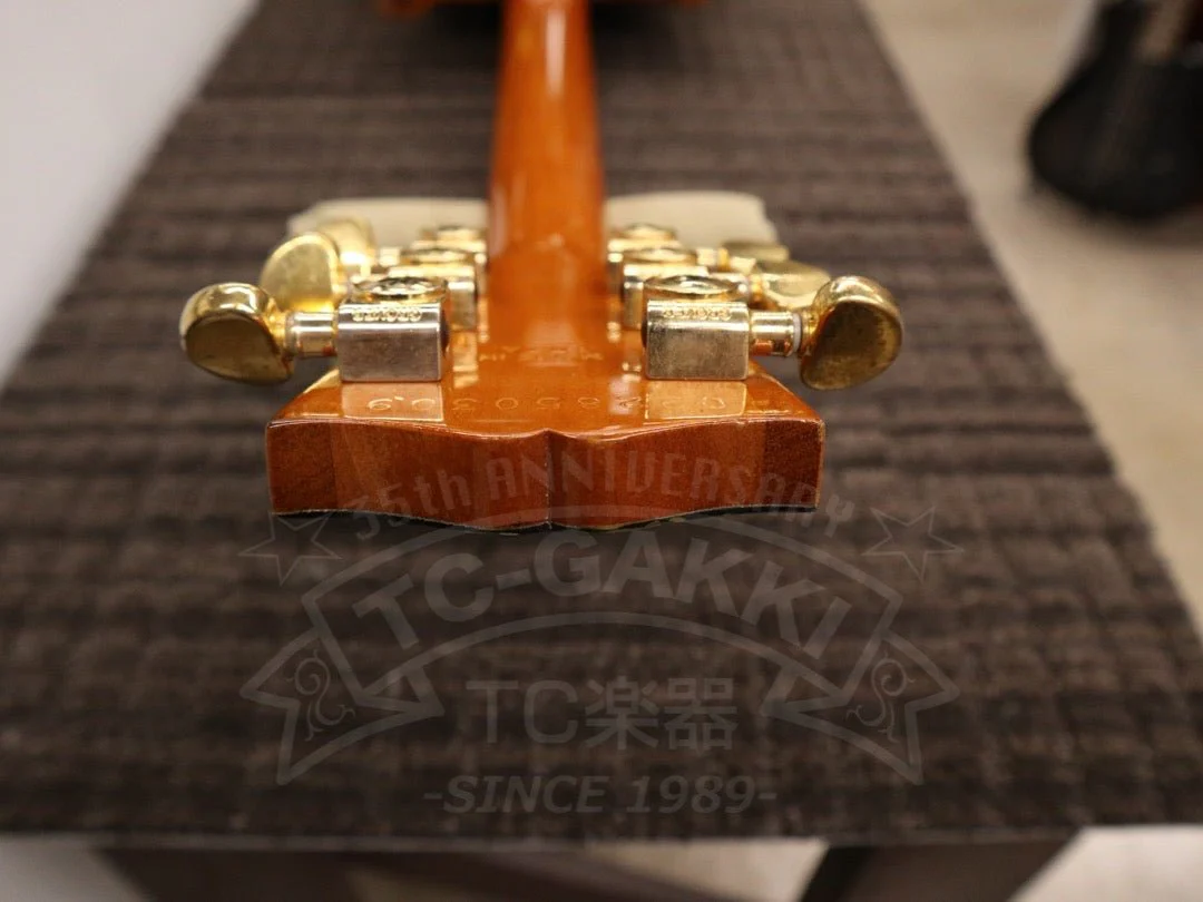 Gibson Les Paul Standard DC - Image 23