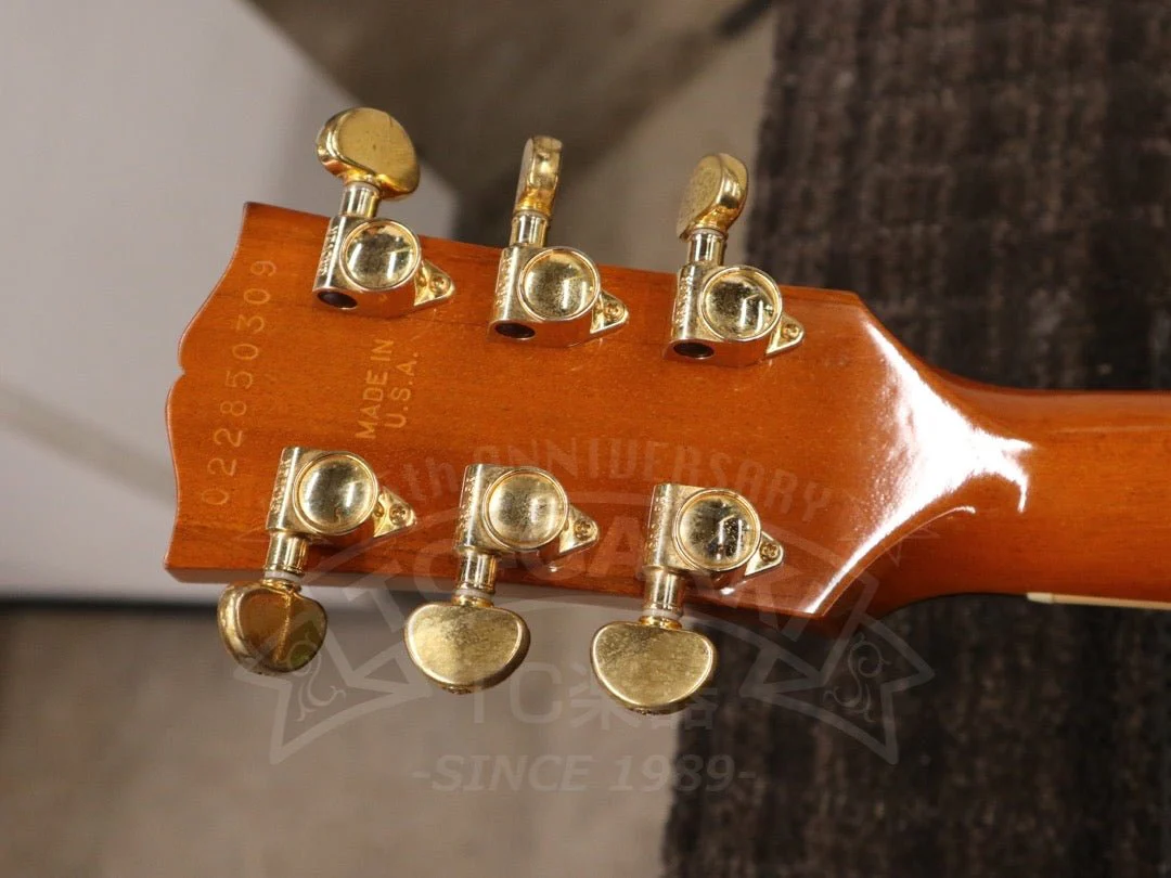 Gibson Les Paul Standard DC - Image 24