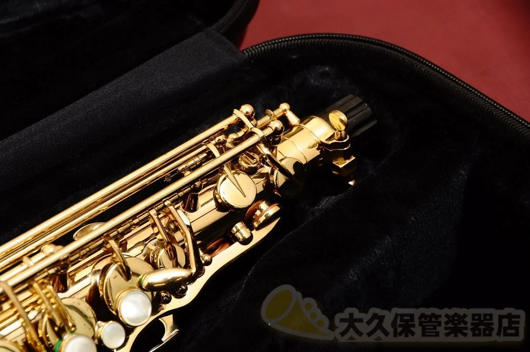 GL CASES:ジーエル GLK-A(S) アルトサックス用ケース - Image 22
