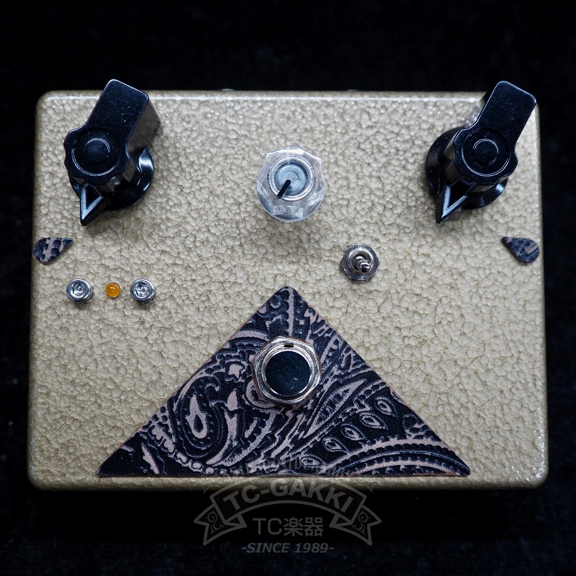 Gold IPA Fuzz - Image 4