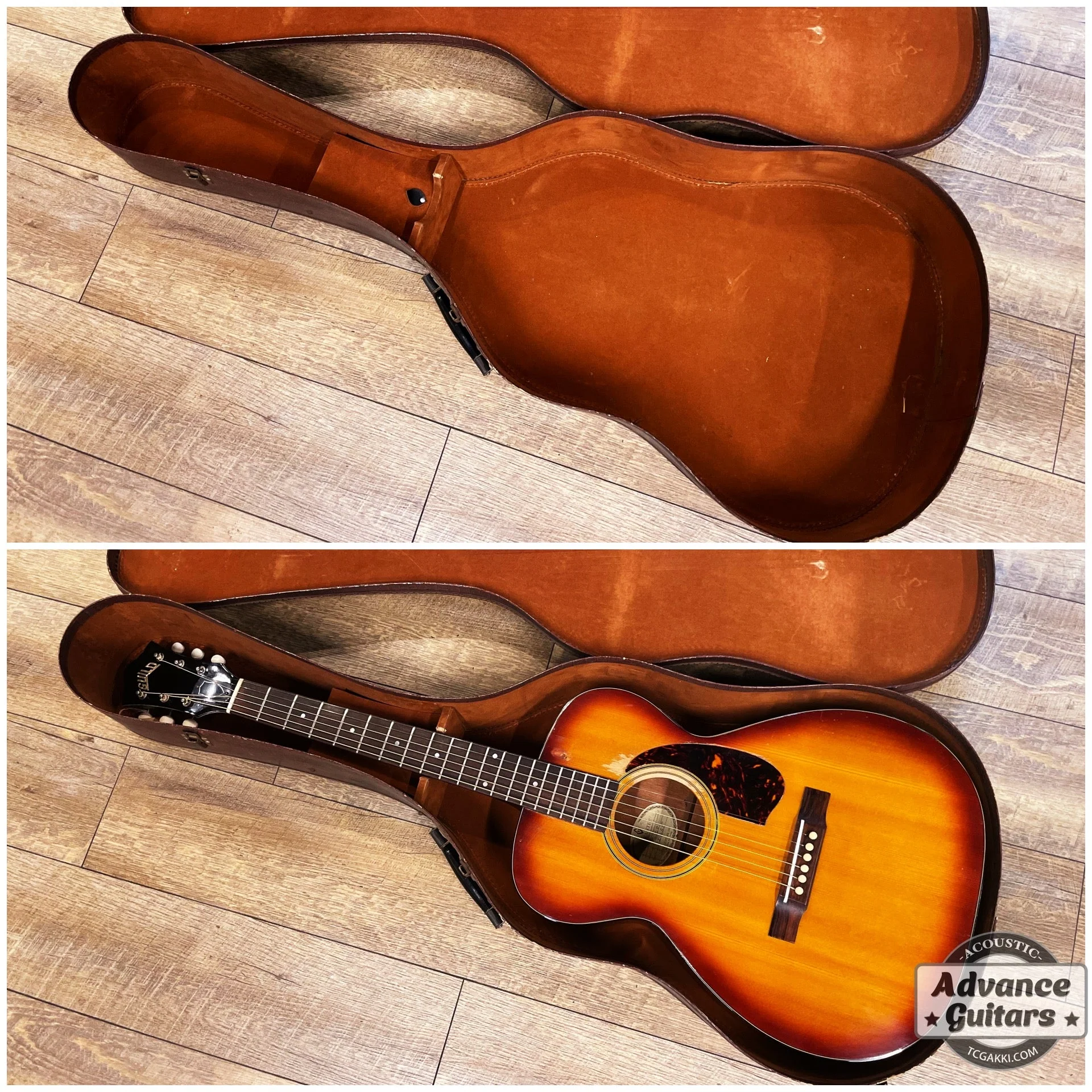 Guild 1964年製 F-20 - Image 2