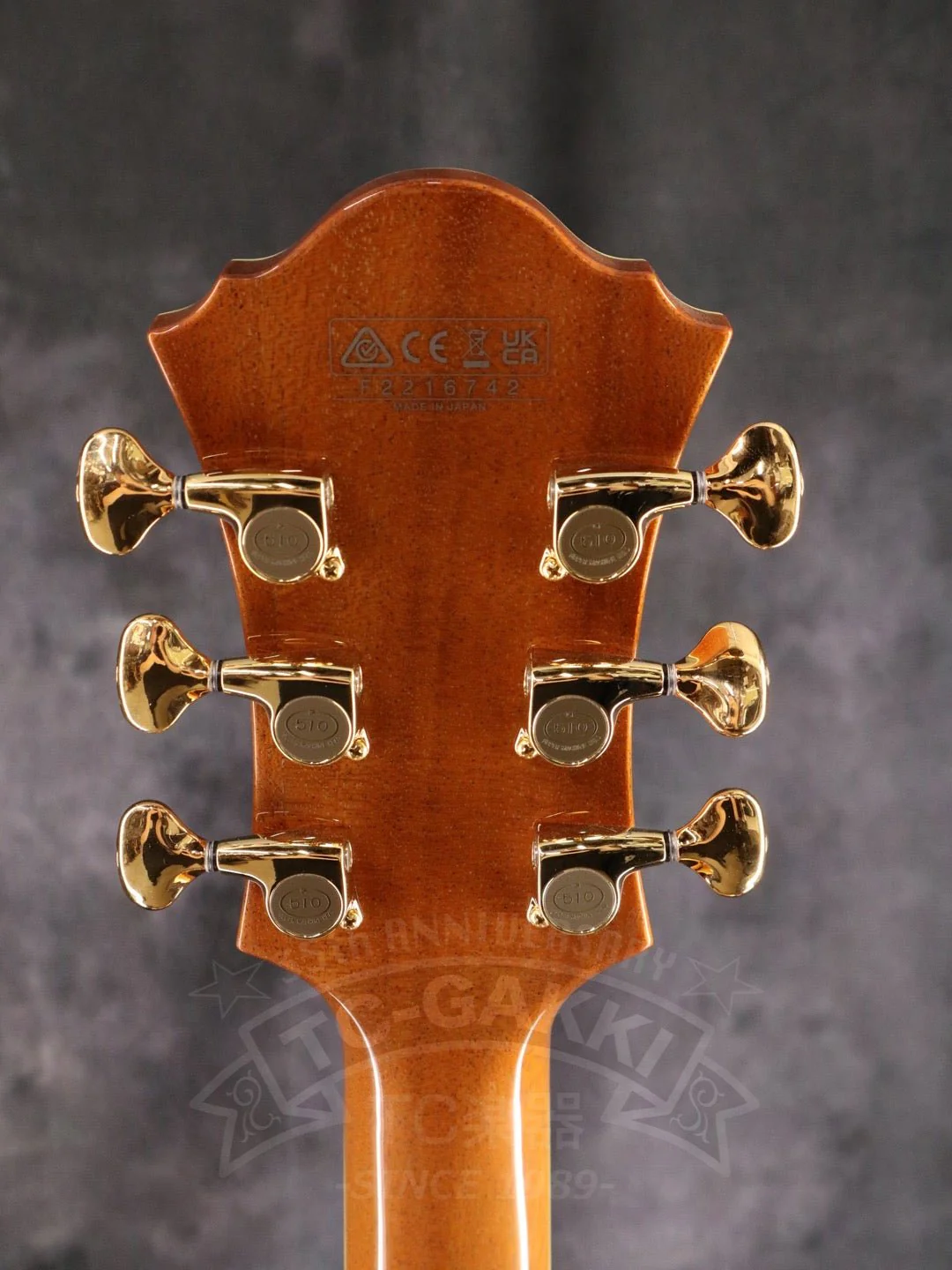 Ibanez PM200 - Image 15