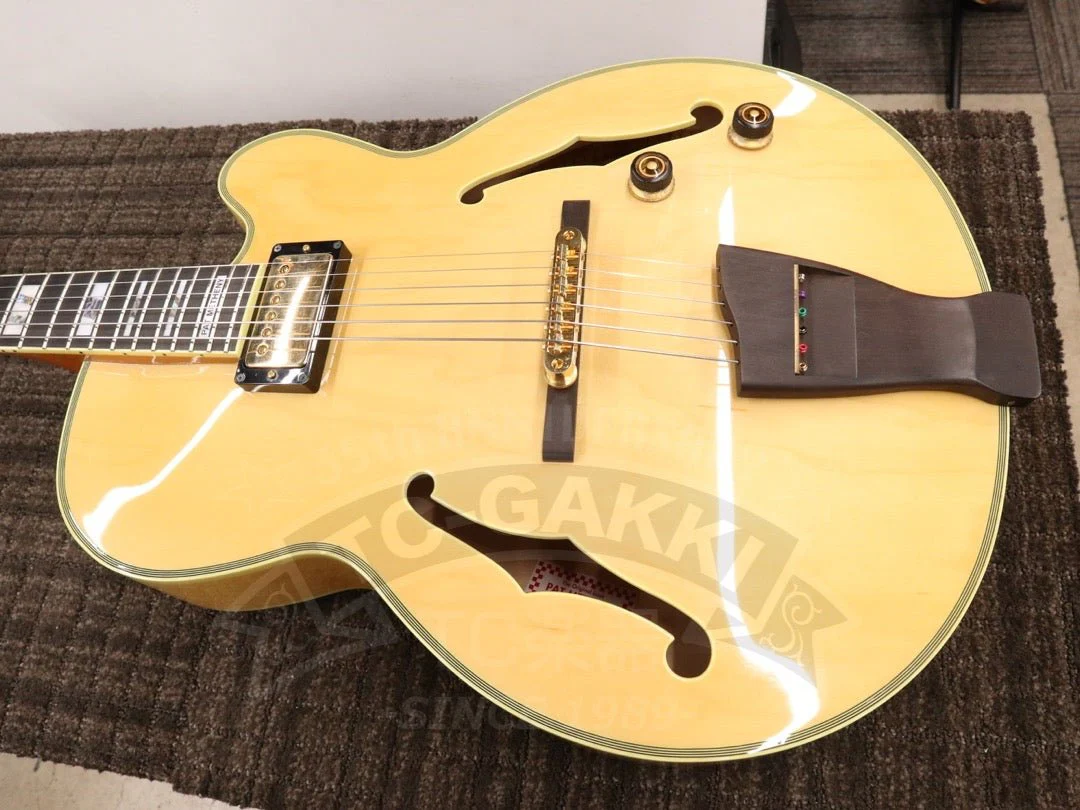 Ibanez PM200 - Image 18
