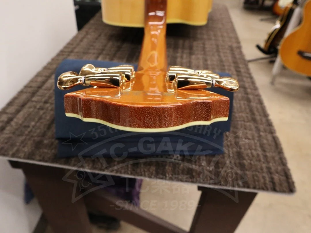 Ibanez PM200 - Image 20