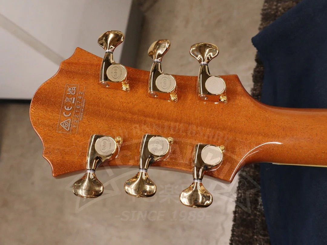 Ibanez PM200 - Image 21