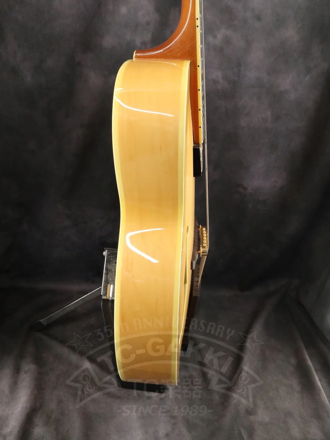 Ibanez PM200 - Image 6