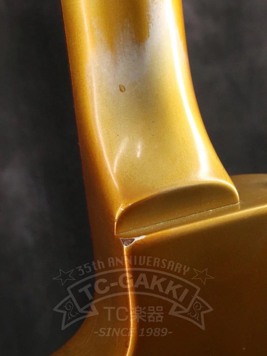 Les Paul Silver Streak - Image 19