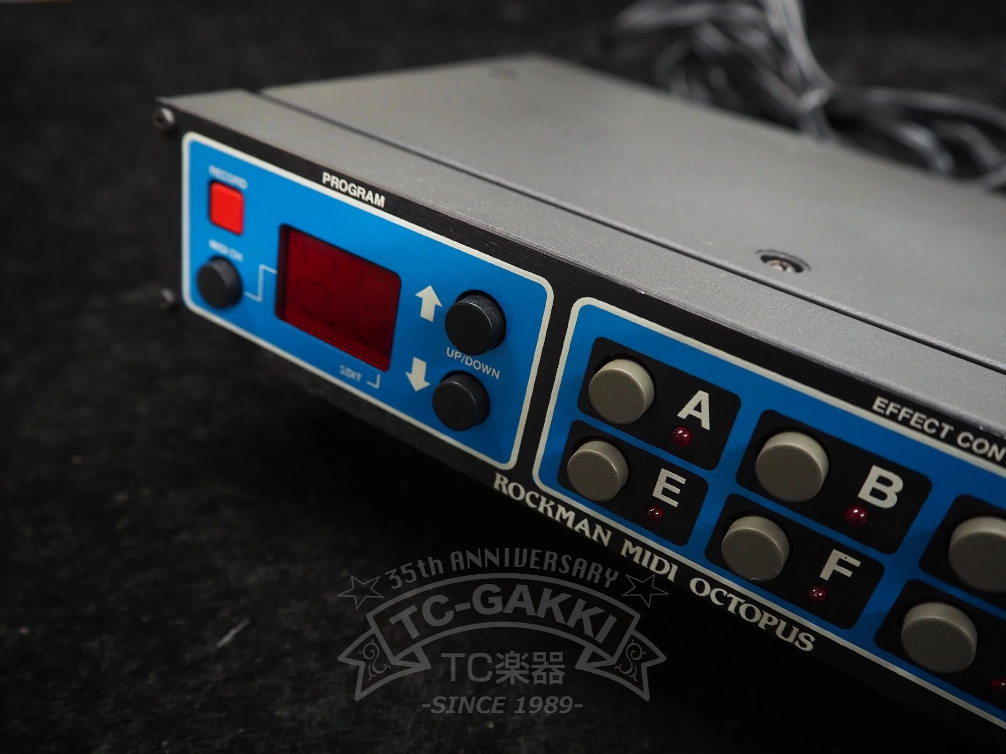 MIDI OCTOPUS MODEL 100 - Image 2
