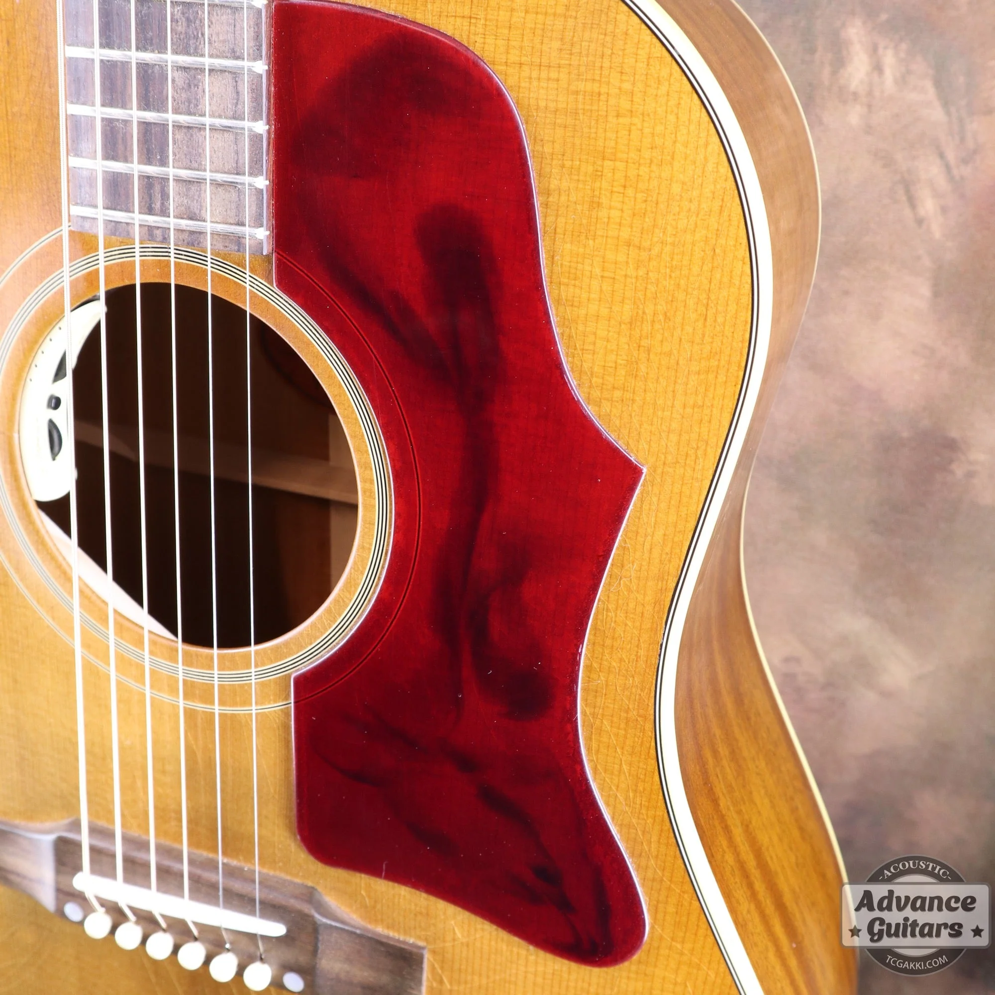 Gibson 2025年製 Murphy Lab HATA MOTOHIRO J-45 - Image 11