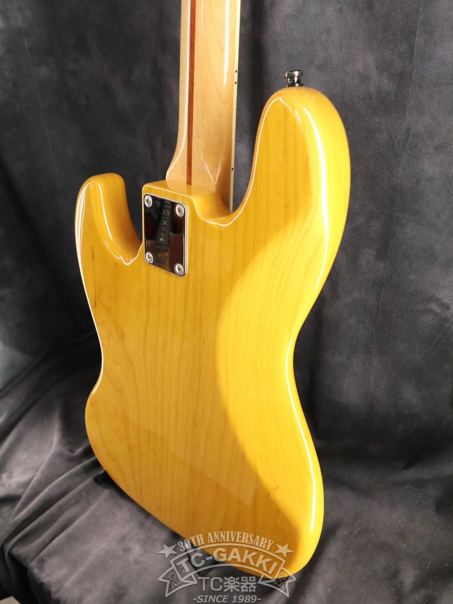 2009 Fujigen(FGN) NCJB-10 - Image 10