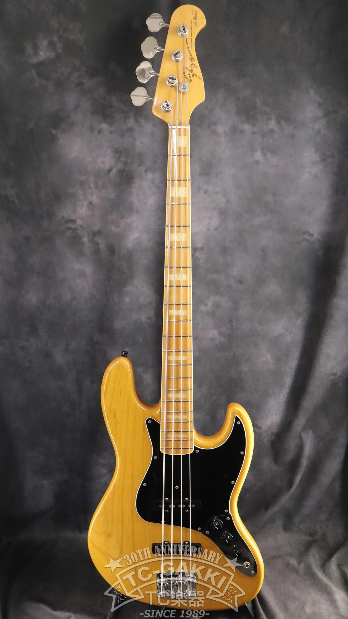 2009 Fujigen(FGN) NCJB-10 - Image 2