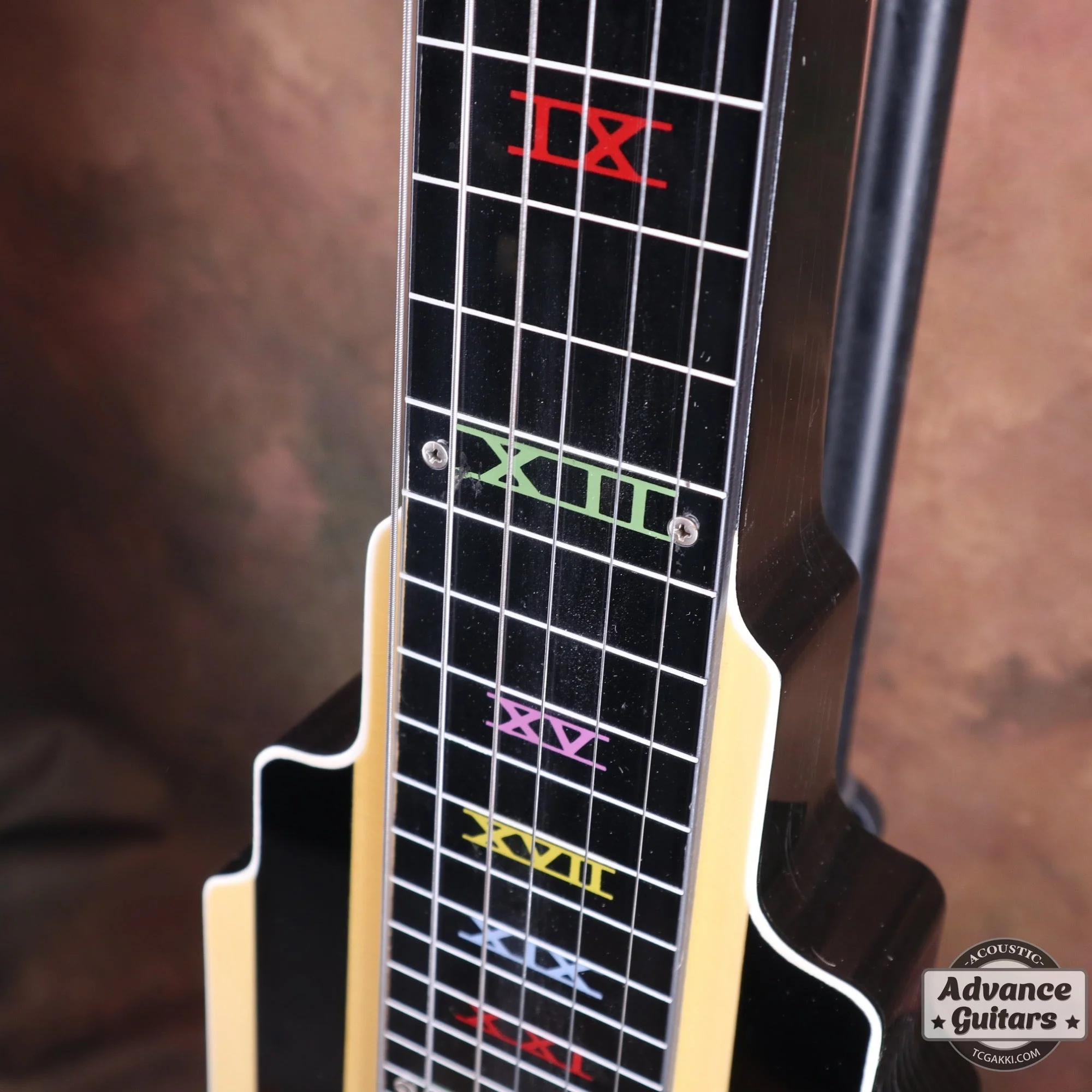 NEW YORKER LAP STEEL GUITAR - Image 10