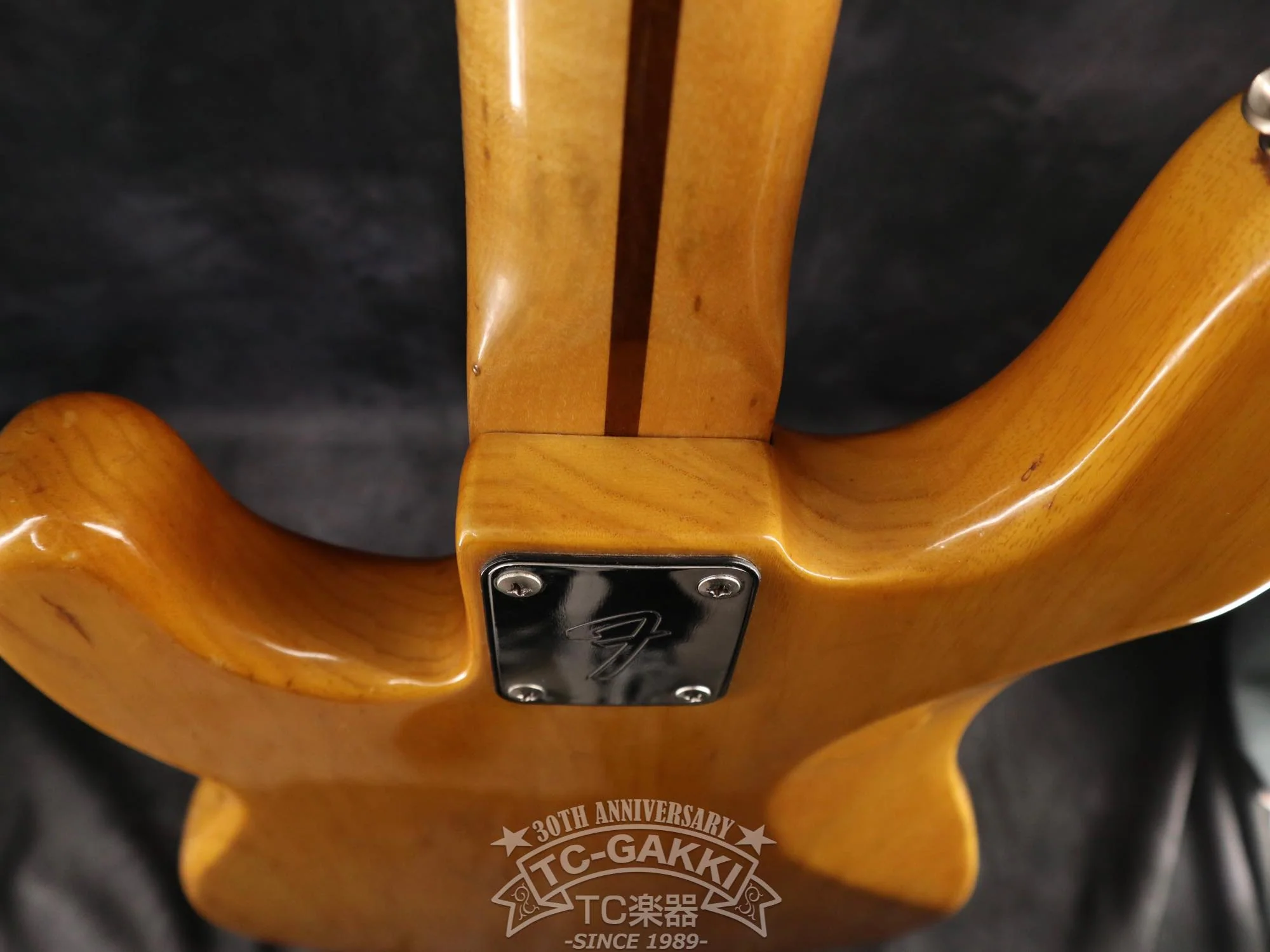Fender 1977 PRECISION BASS - Image 13