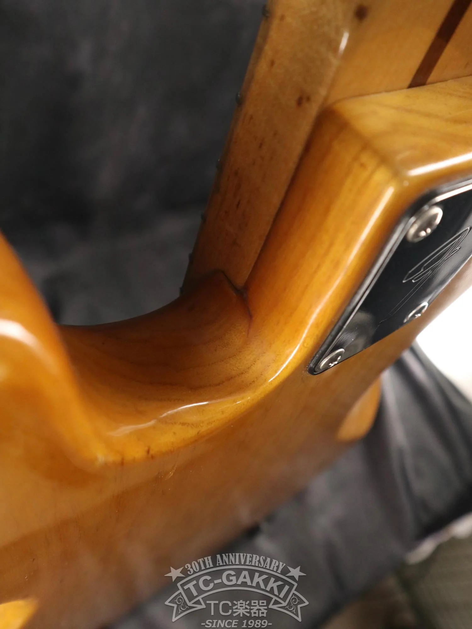 Fender 1977 PRECISION BASS - Image 14