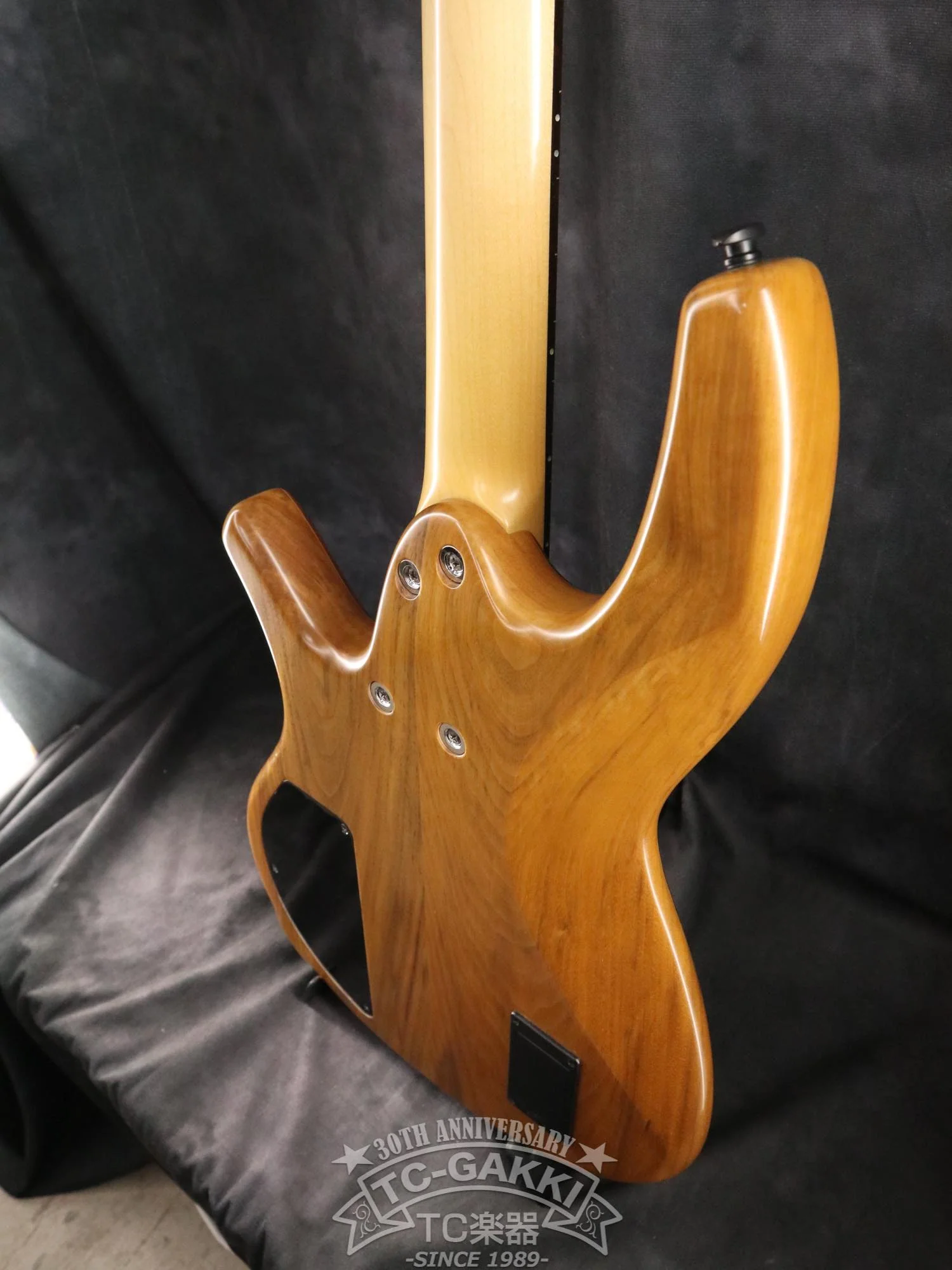 Overwater 2019 Progress Standard IV Bolt-on Fretless - Image 10