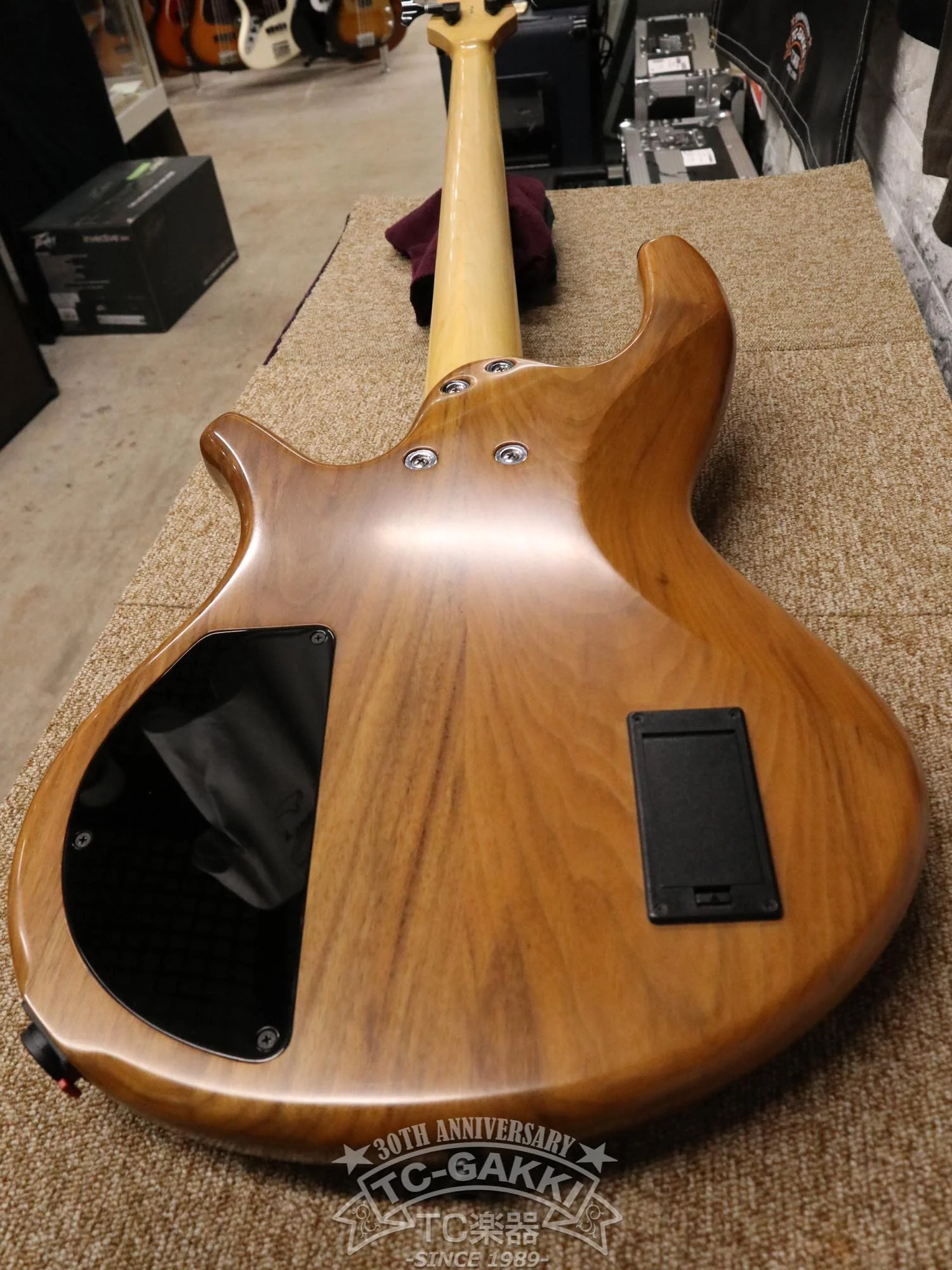 Overwater 2019 Progress Standard IV Bolt-on Fretless - Image 16