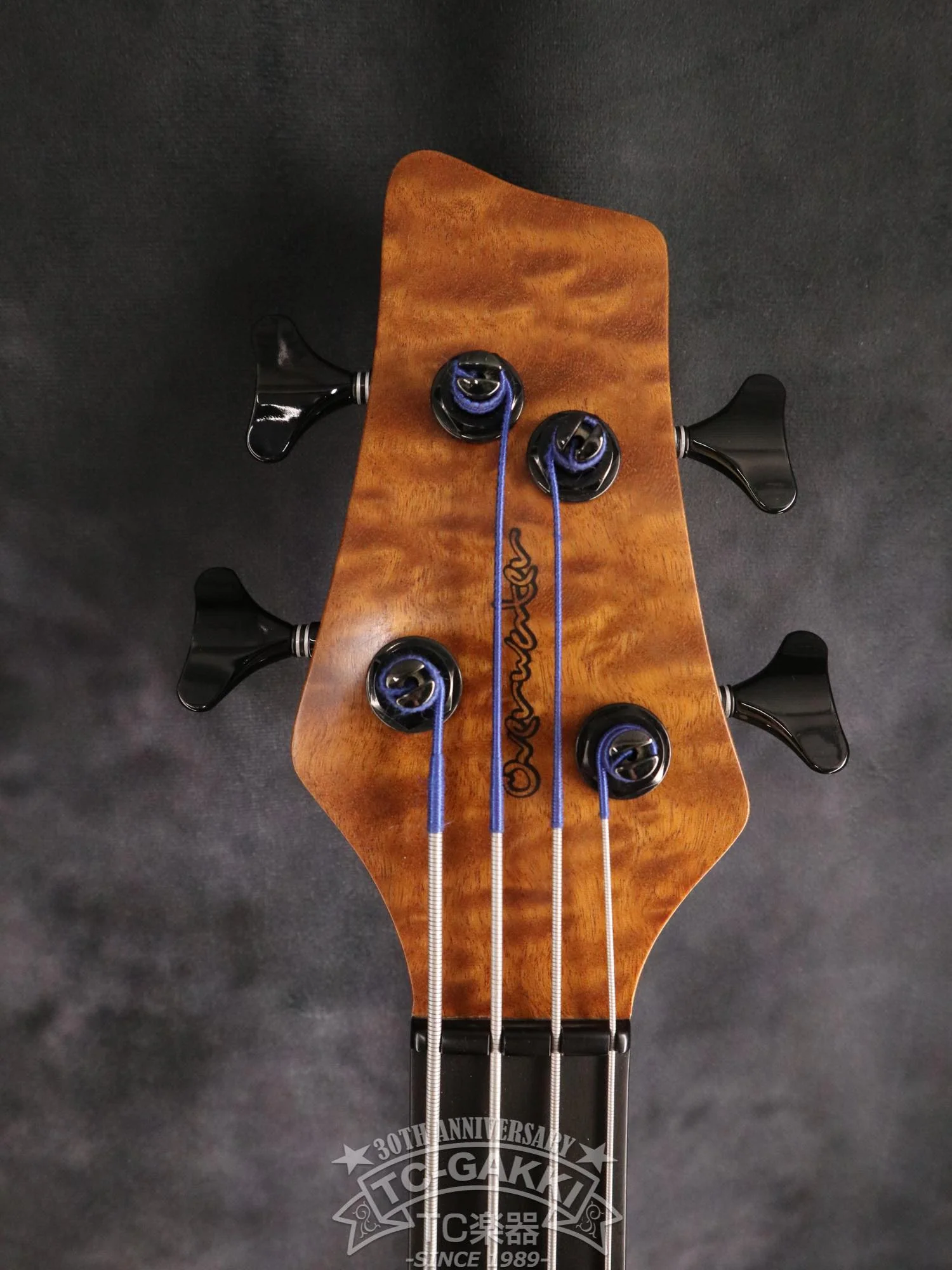 Overwater 2019 Progress Standard IV Bolt-on Fretless - Image 3