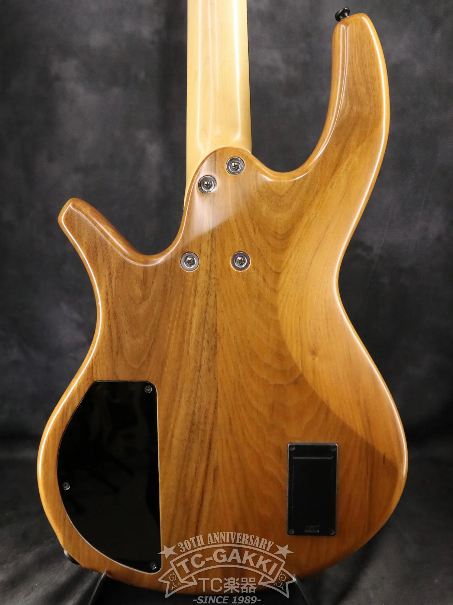 Overwater 2019 Progress Standard IV Bolt-on Fretless - Image 6