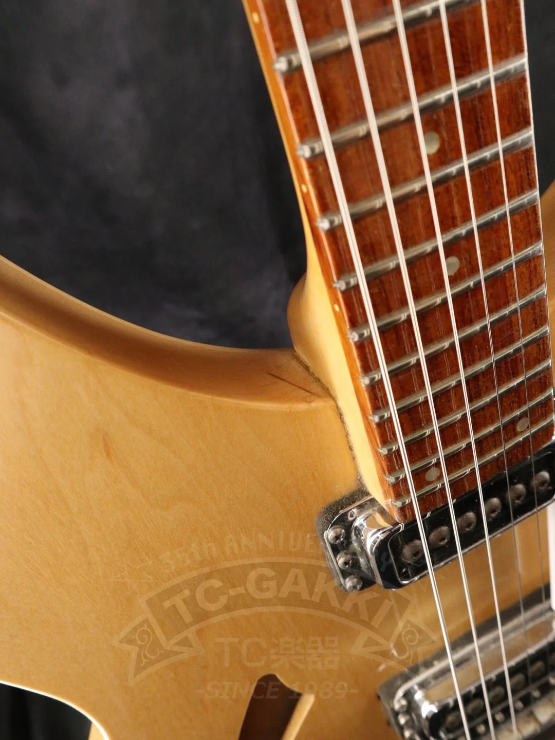 Rickenbacker 330 - Image 9