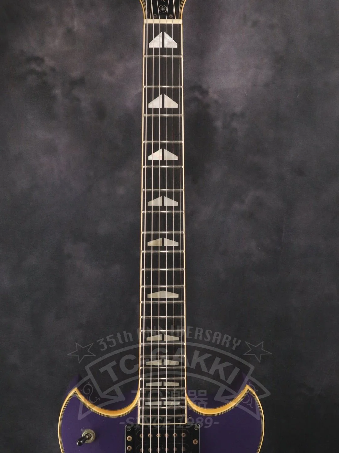 SG2000DP - Image 3