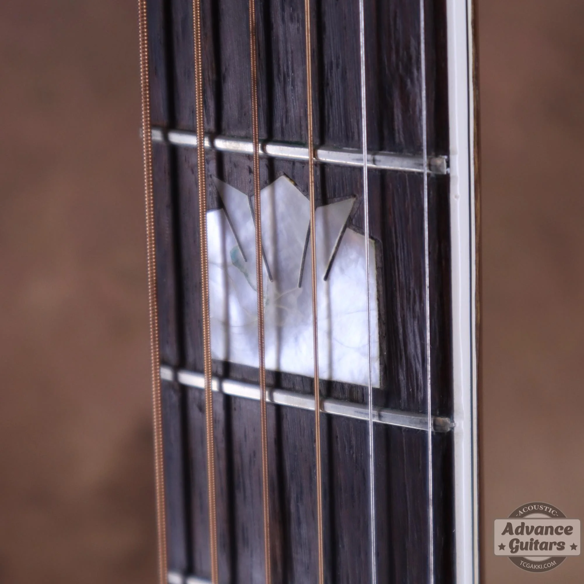 1941年製 SJ-200 Rosewood - Image 44