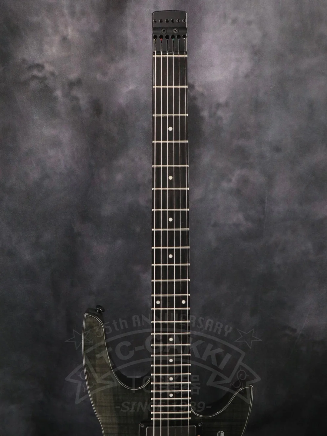 STEINBERGER ZT-3 - Image 3