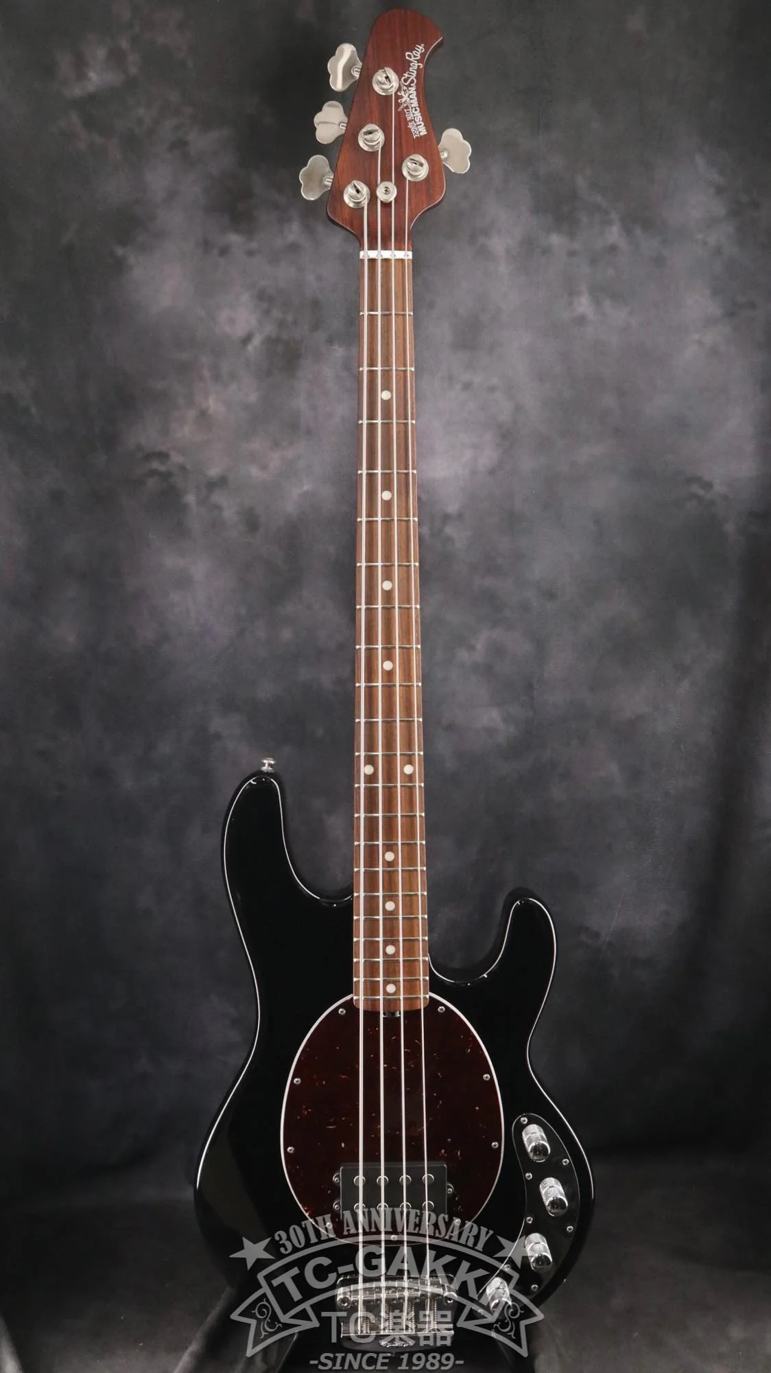 MUSIC MAN 2014 StingRay Rosewood-Neck - Image 2