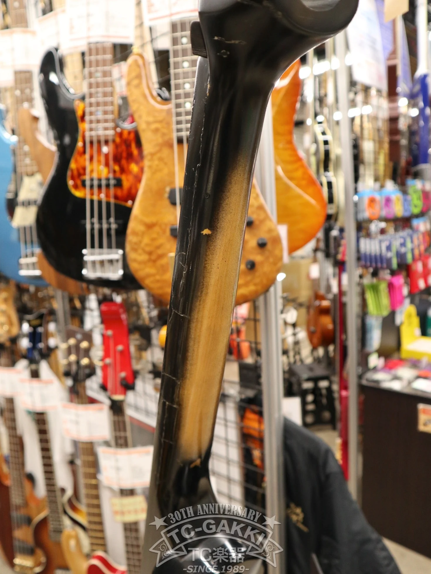 T-4 Upright-Bass - Image 7