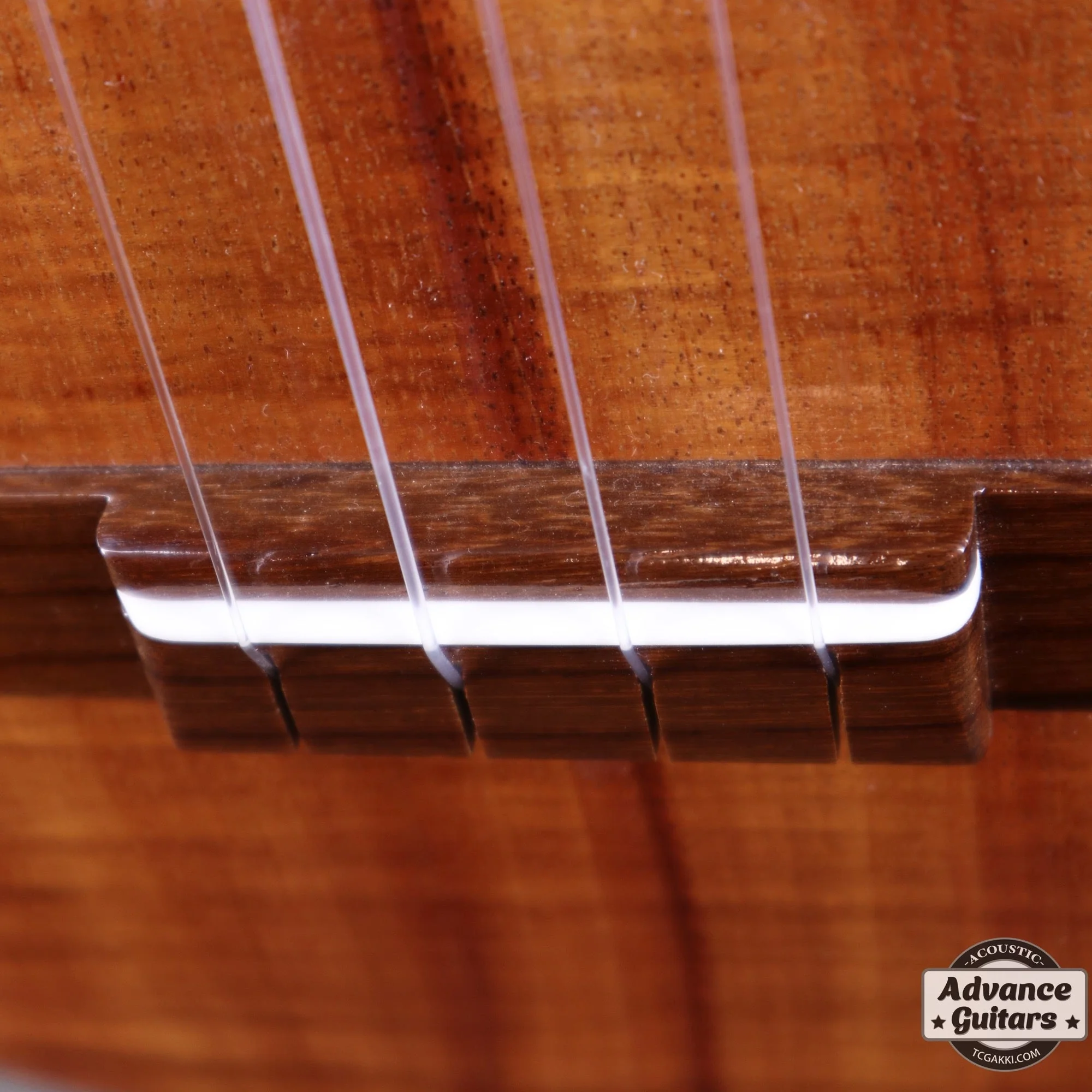 T-46 Hawaiian Koa - Image 9