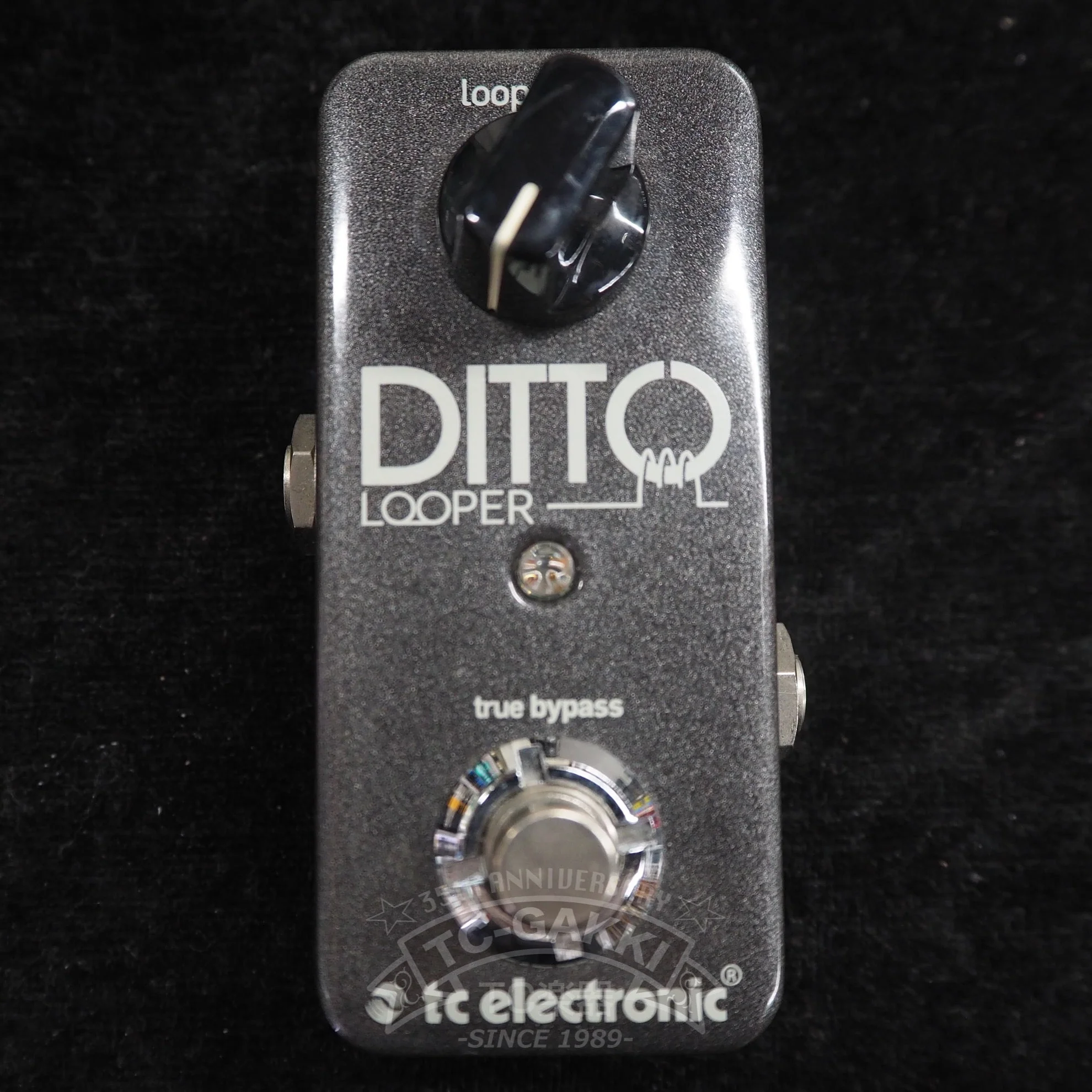 t.c. electronic DITTO LOOPER - Image 4