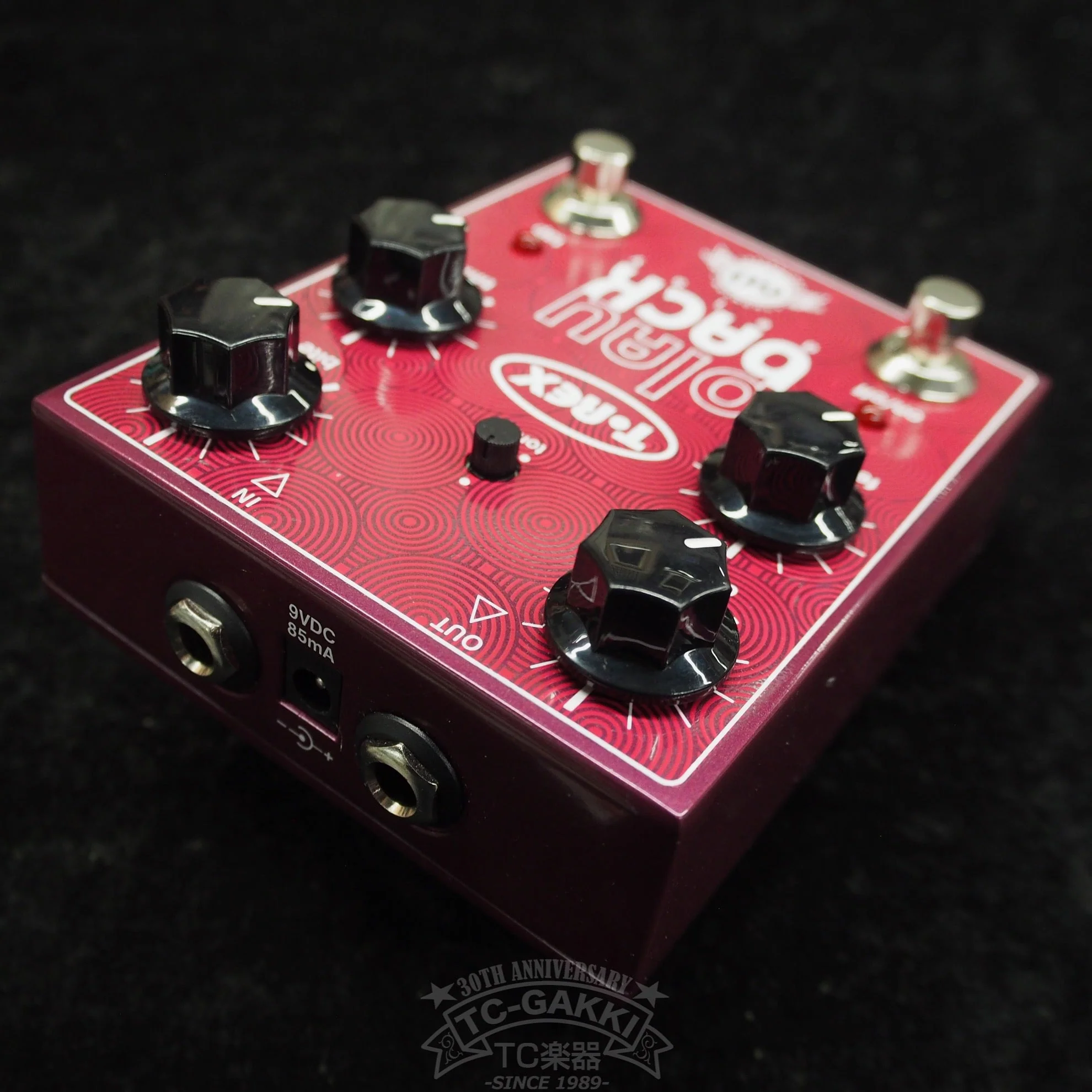 T-REX Play Back Tap Tempo Delay - Image 2