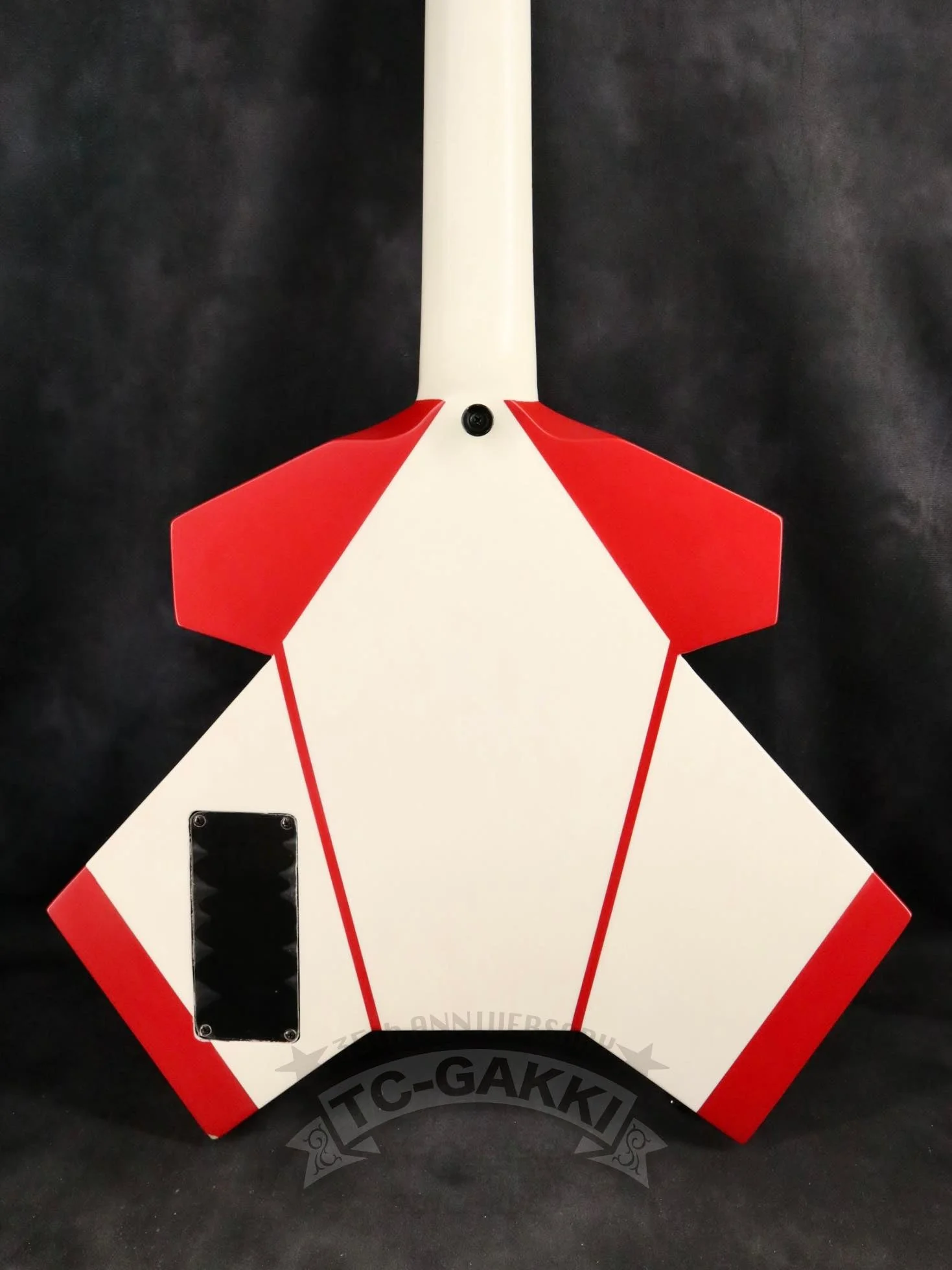 TC-GAKKI ATD-GT - Image 6