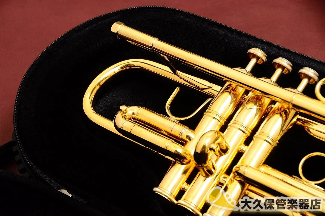 PROTEC PB301TL【トランペット1本用】 - Image 11