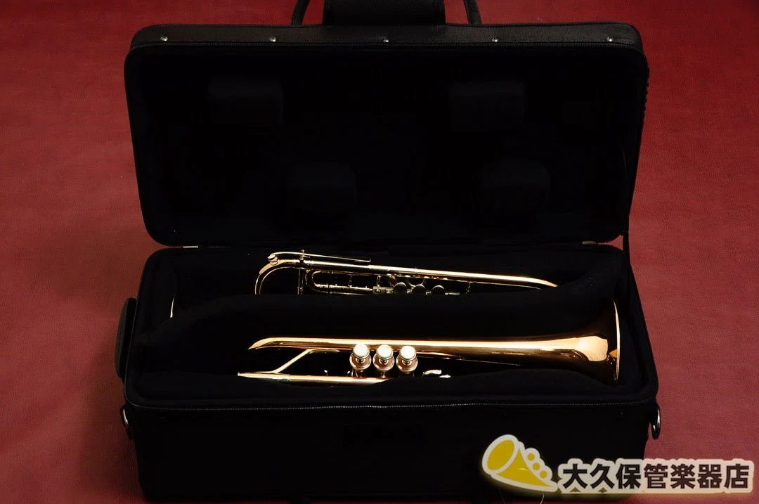 PROTEC IP301D【トランペット2本用】 - Image 11