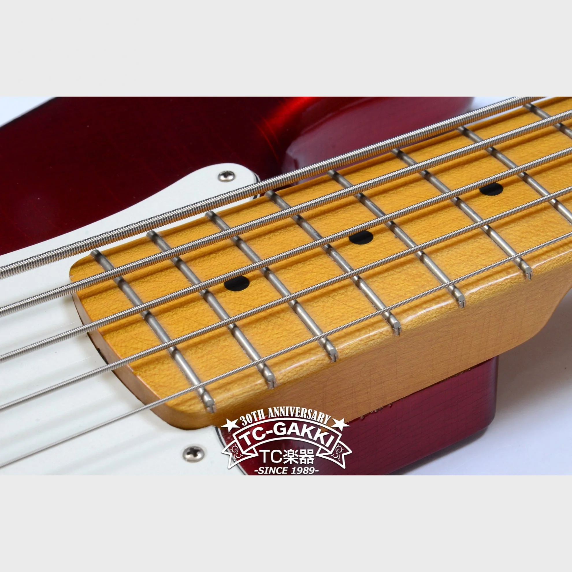 TMG Guitar [正規取扱店] STETSON 5ST - Image 9