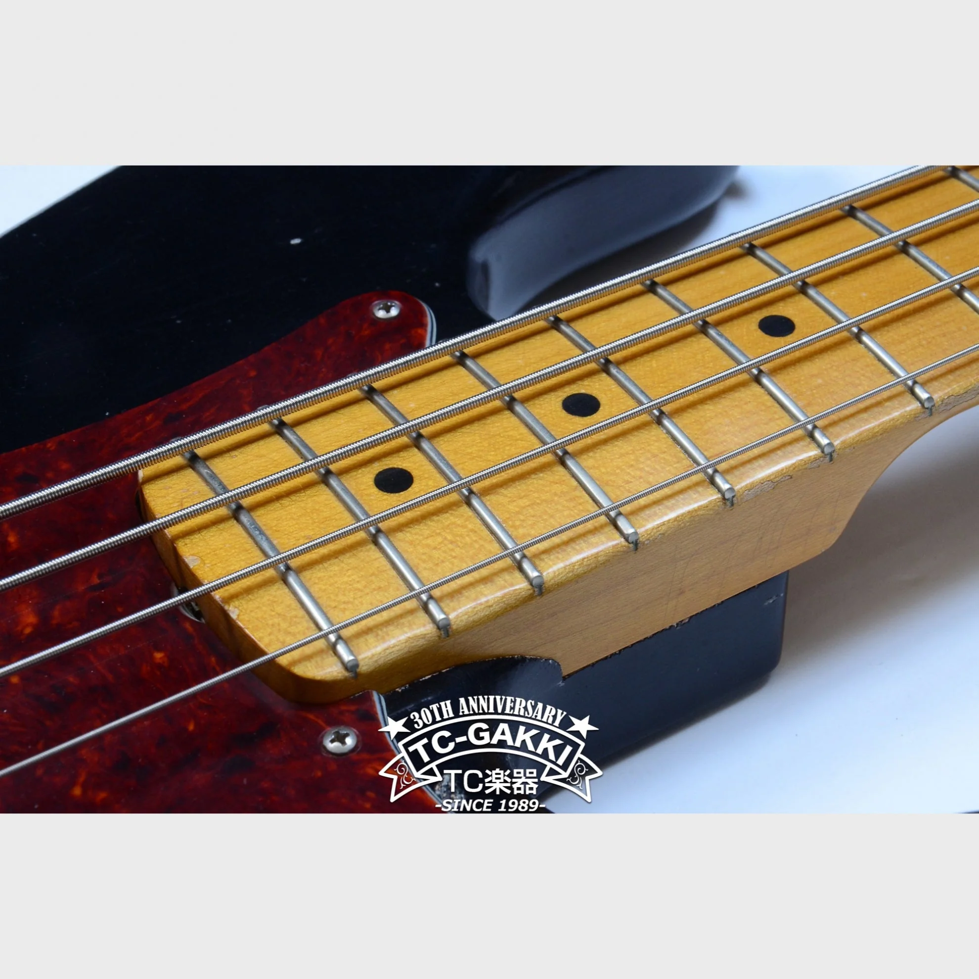 TMG Guitar [正規取扱店] STETSON - Image 10