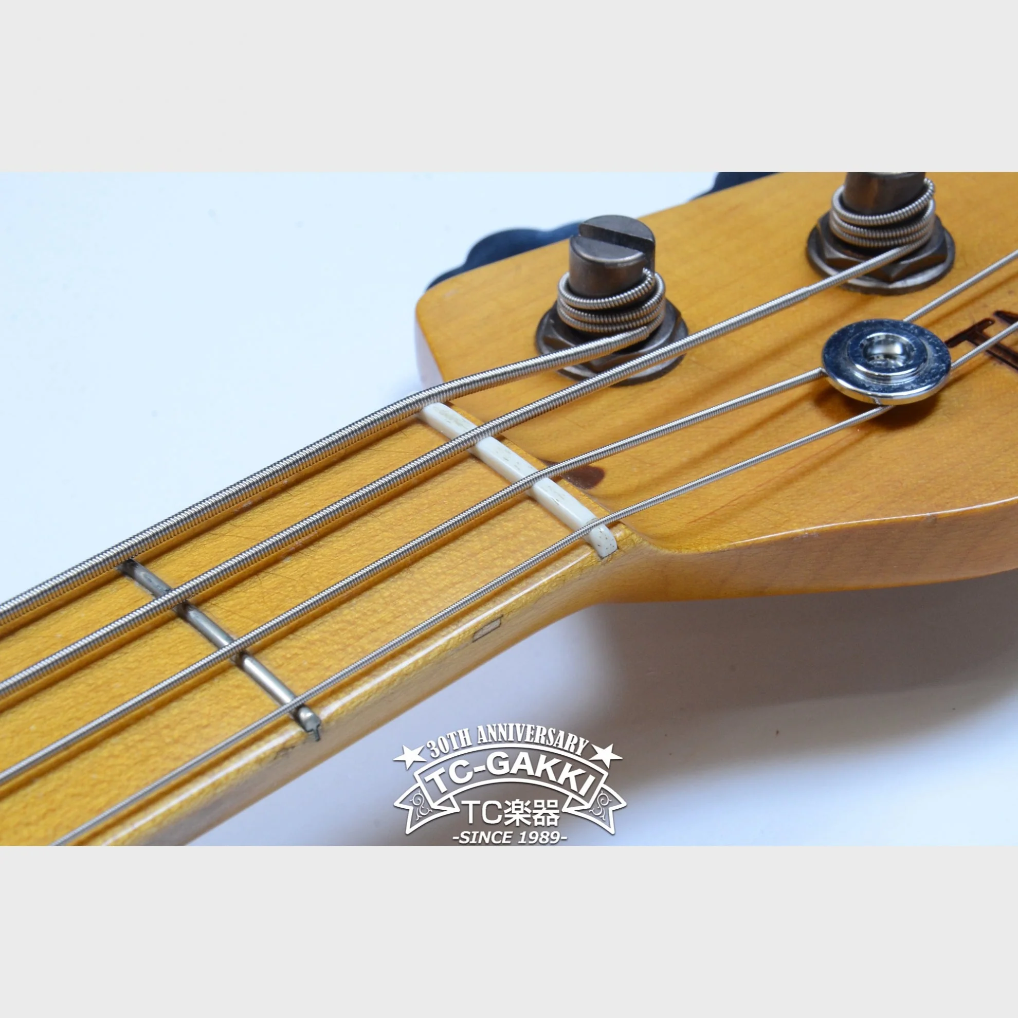 TMG Guitar [正規取扱店] STETSON - Image 17