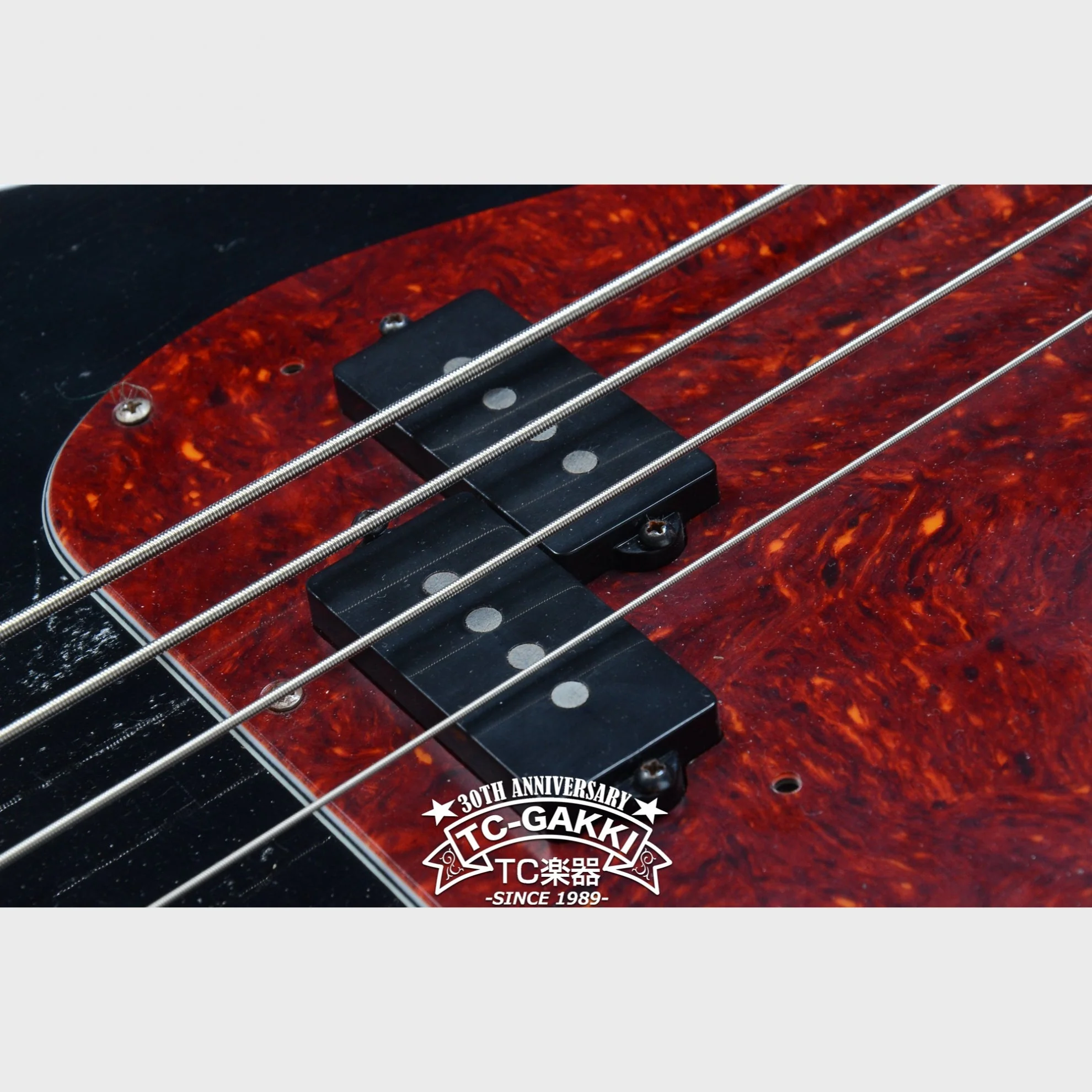 TMG Guitar [正規取扱店] STETSON - Image 6