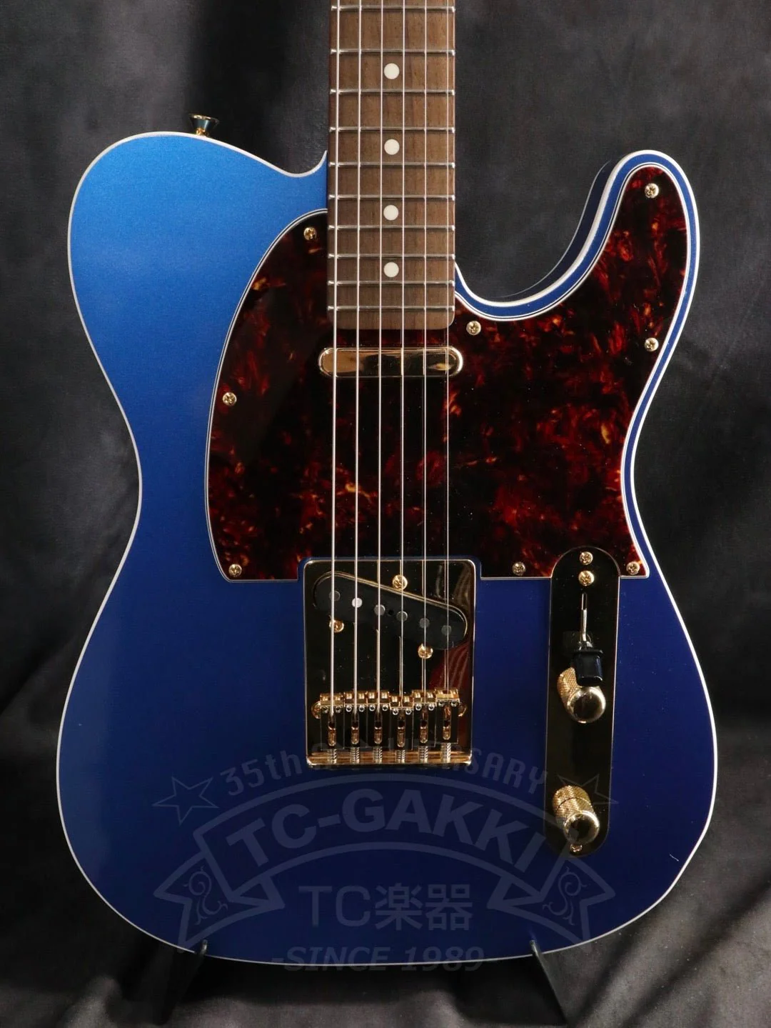 TE-C Rosewood Neck